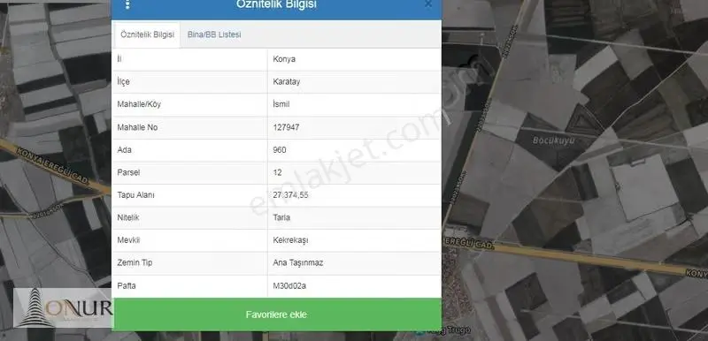 Onur Emlaktan İsmil De 99.393 M2 Müstakil Tapu Satılık Tarla - Görsel 2