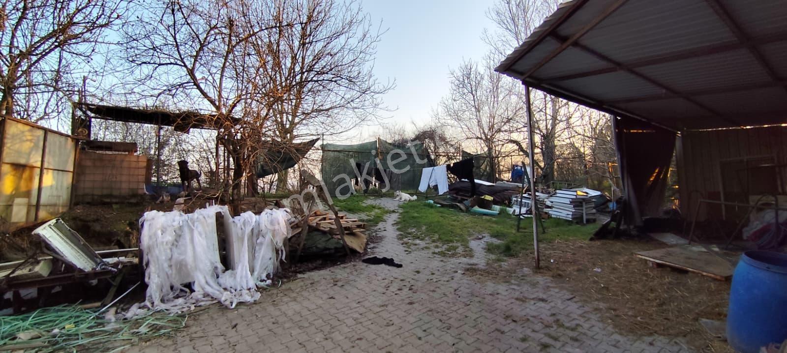 Poyrazlar Yolunda Uygun Fiyatlı Geniş Güvenli Kiralık Depo - Görsel 2