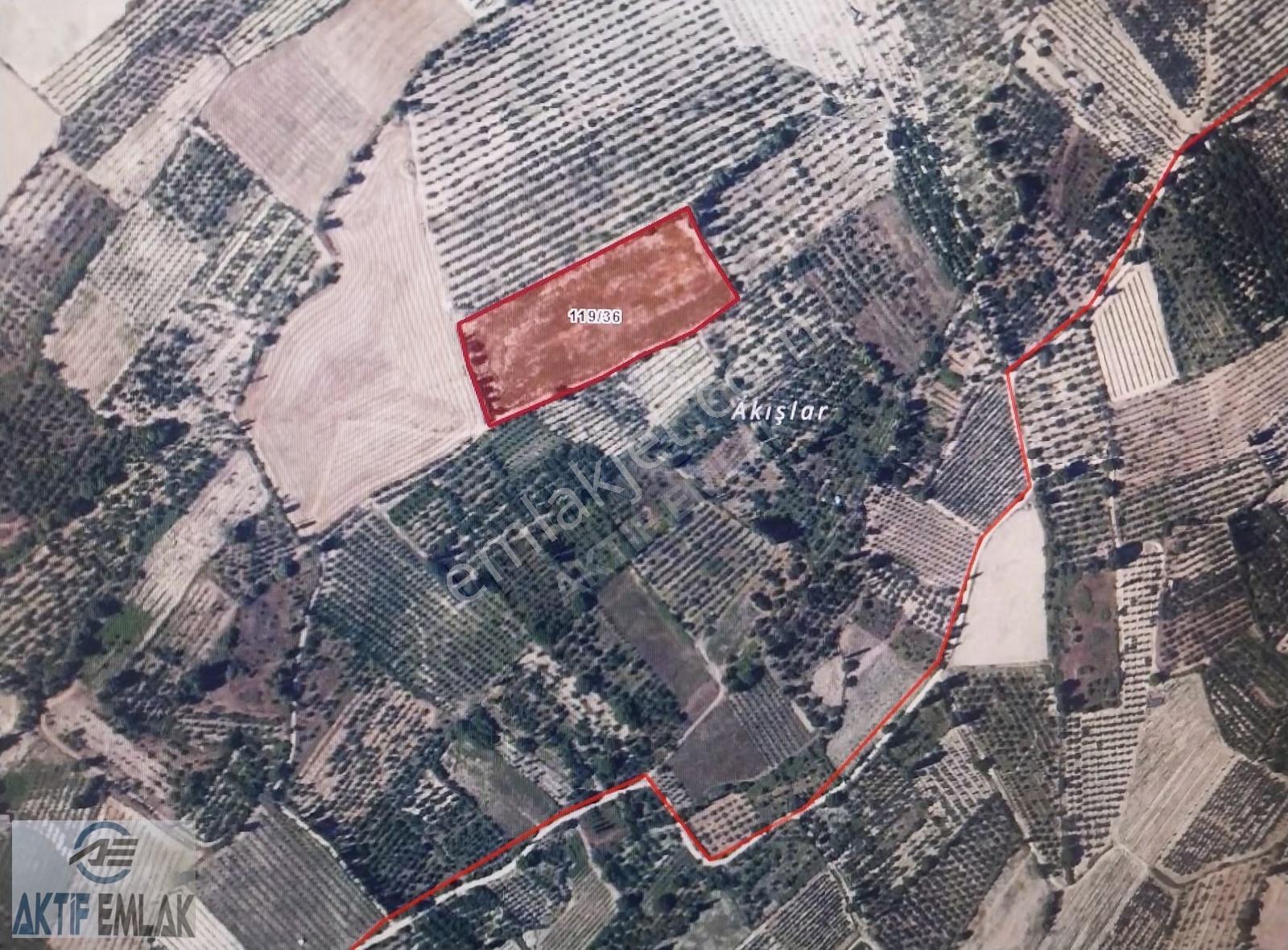 Aktif Emlak'tan Sultandağı Çamözü 13.805 M2 Tarla - Görsel 5
