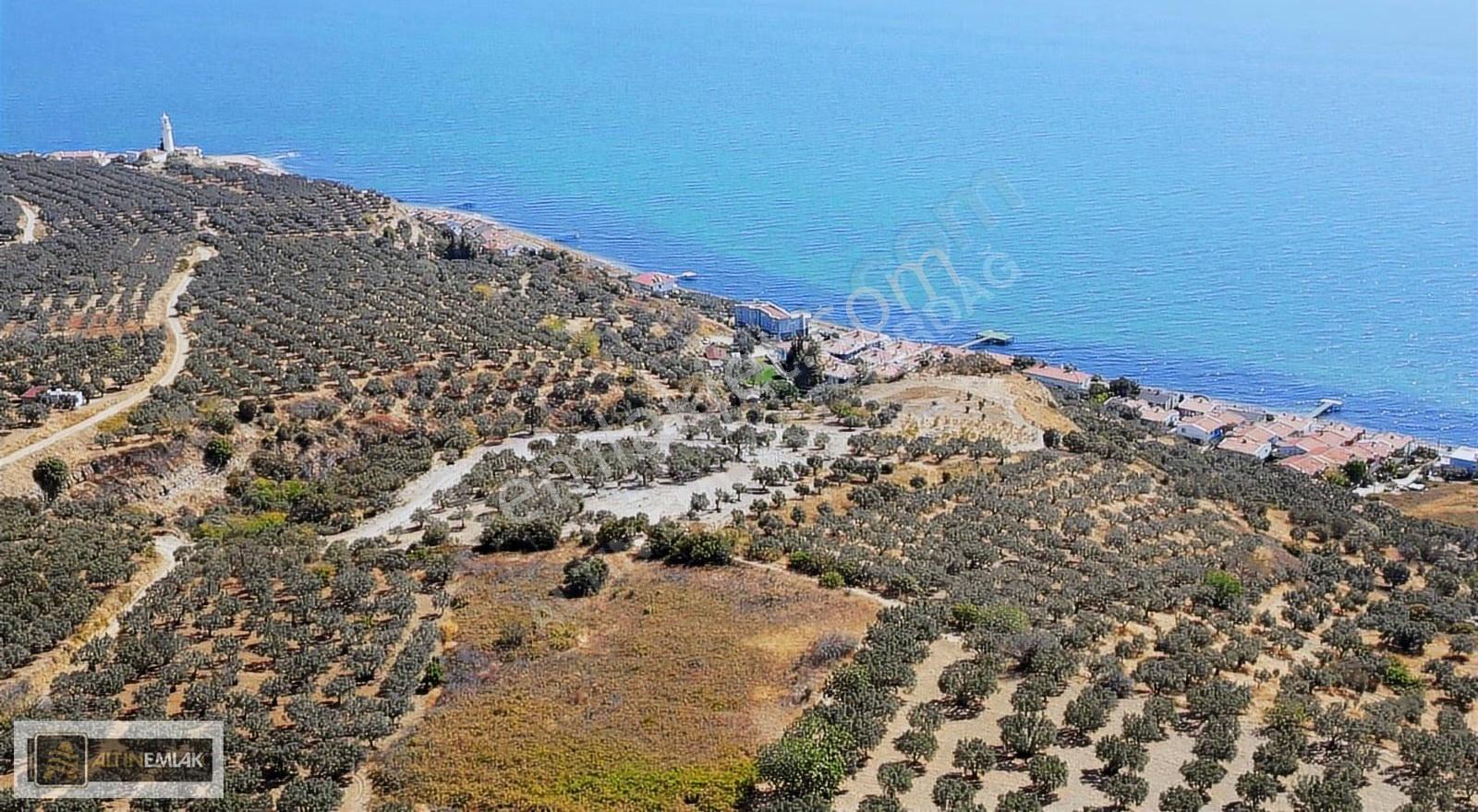 Tekirdağ Şarköy Hoşköy'de Satılık Villa İmarlı Arsalar - Görsel 11