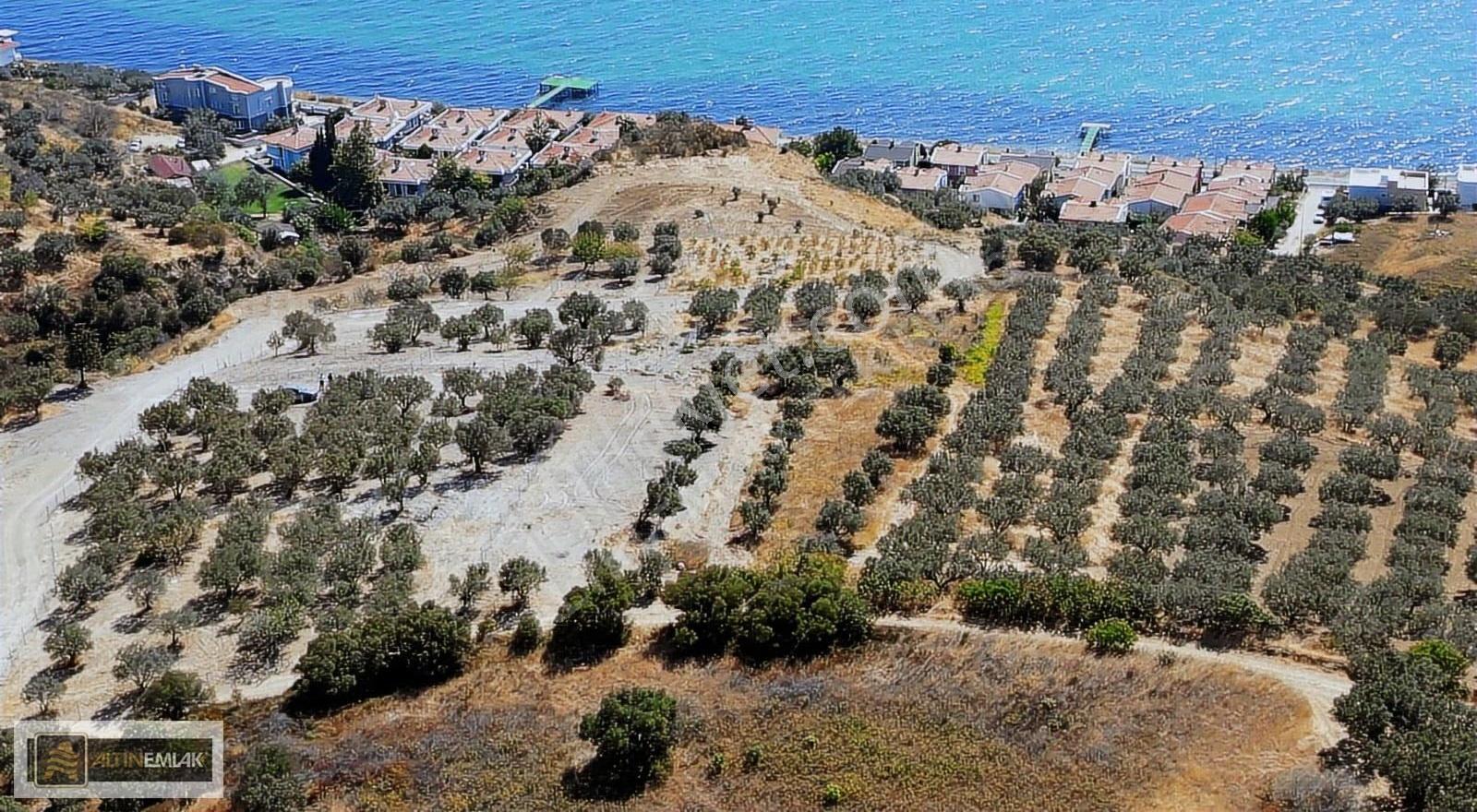 Tekirdağ Şarköy Hoşköy'de Satılık Villa İmarlı Arsalar - Görsel 9