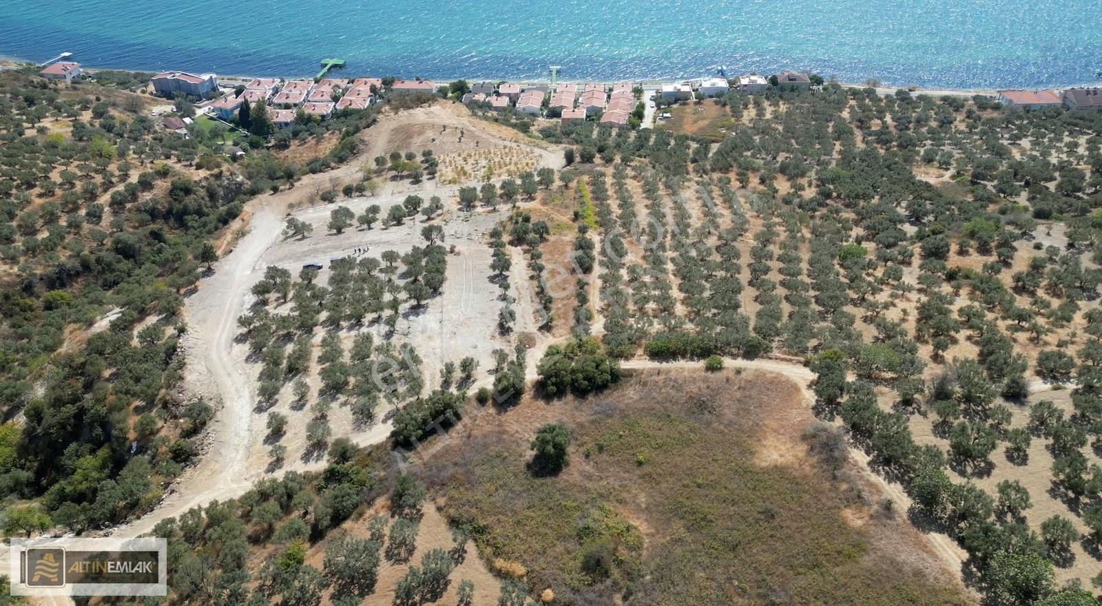 Tekirdağ Şarköy Hoşköy'de Satılık Villa İmarlı Arsalar - Görsel 7
