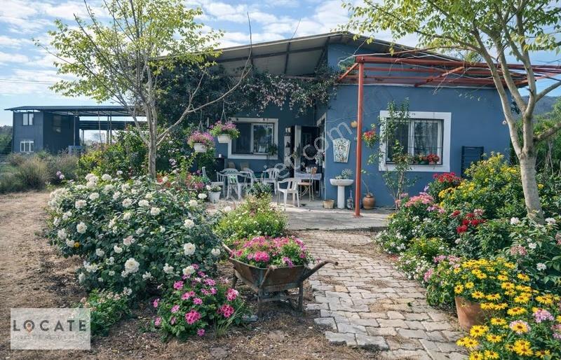Bayındır Da Yola 70 M Cepheli 16.405 M² Satılık Tarla - Görsel 23