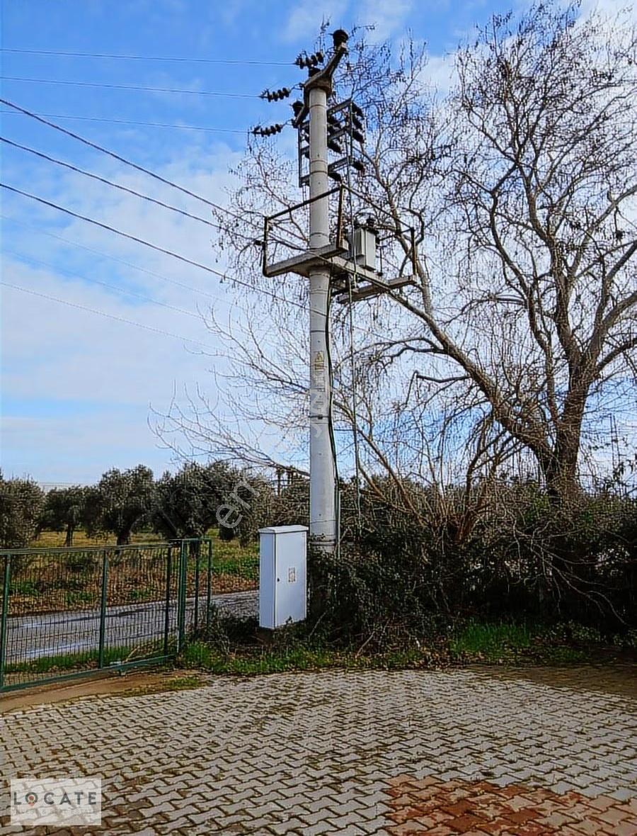 Bayındır Da Yola 70 M Cepheli 16.405 M² Satılık Tarla - Görsel 22