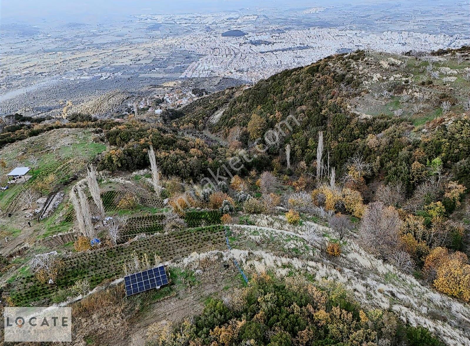 Tire Kaplan Köyü Üstünde 13.736 M² Satılık Bahçe - Görsel 9