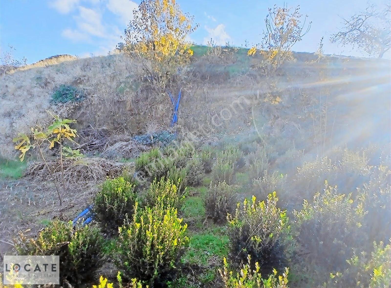 Tire Kaplan Köyü Üstünde 13.736 M² Satılık Bahçe - Görsel 15
