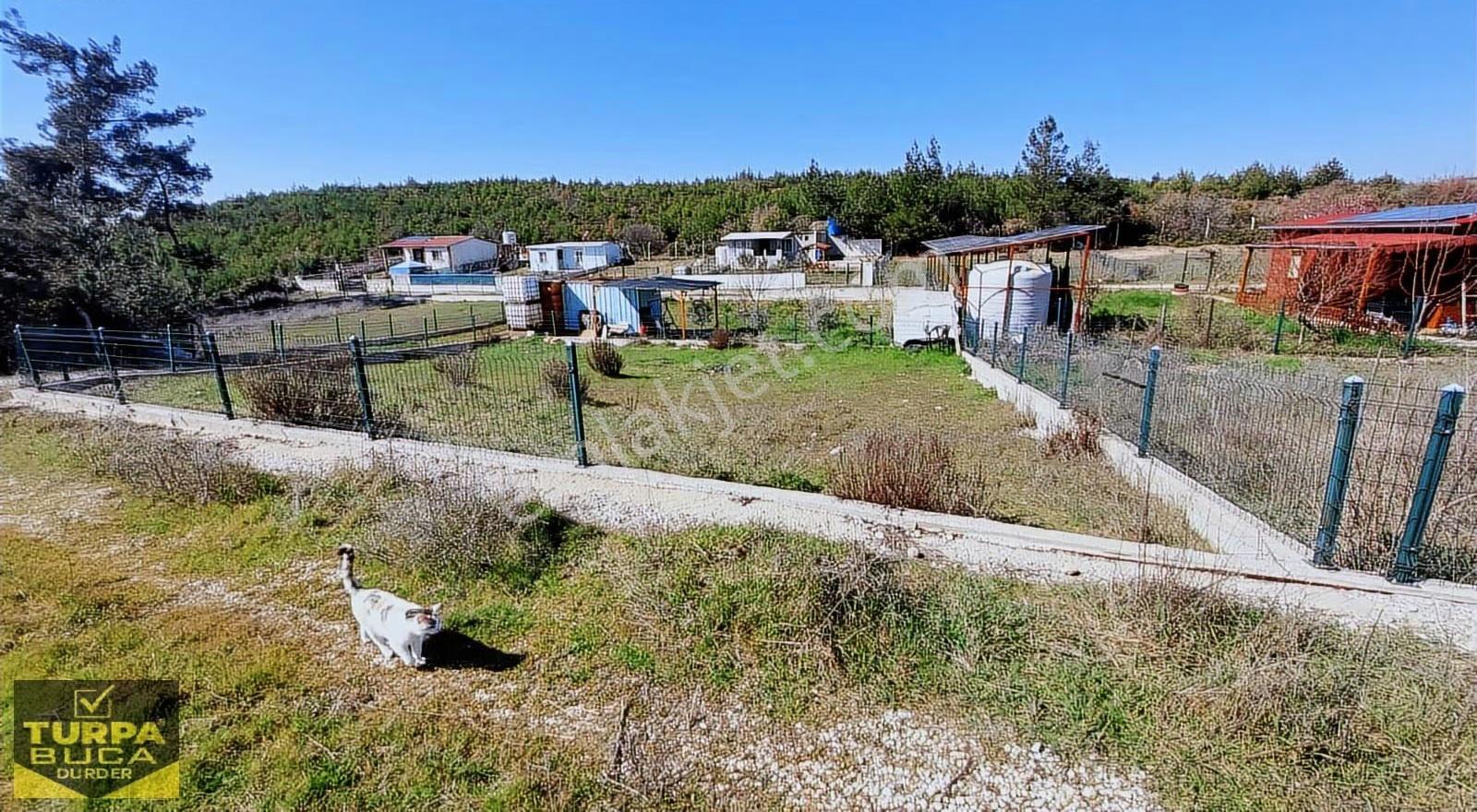 Turpa"dan Belenbaşı"nda Tapulu 345 M2 Köye Yakın Tarla - Görsel 12