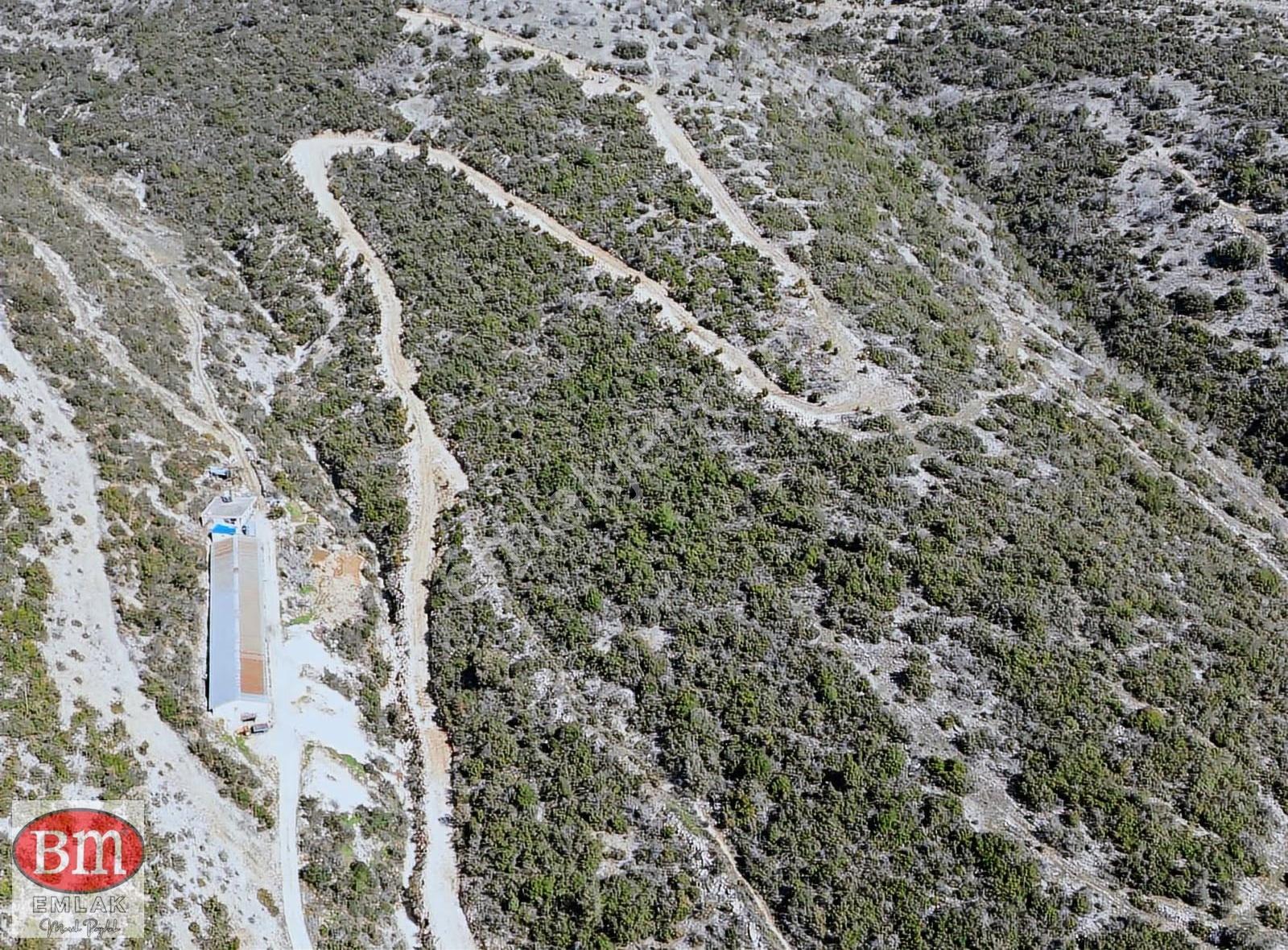 Bm"den Tarsus"da Asfalta Sıfır 49978m2 Tarla Fırsat Fiyat - Görsel 19