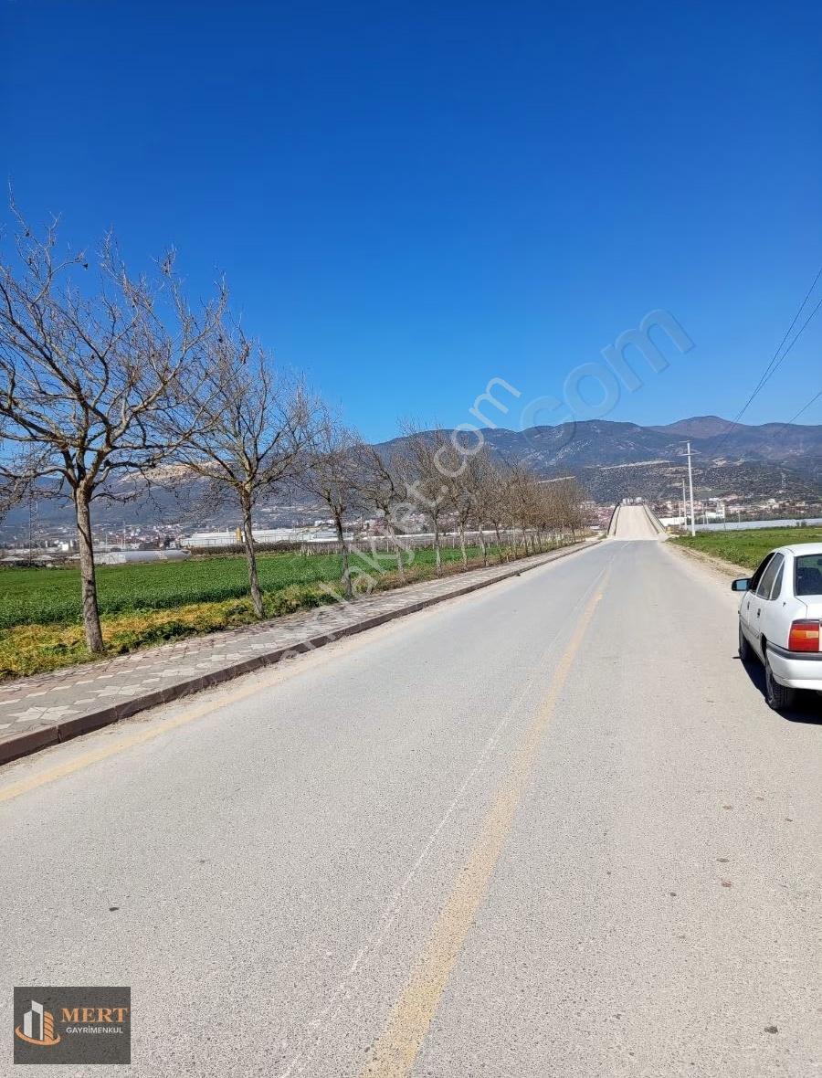 Sakarya Pamukova Cihadiye Köyünde Satılık Tarla