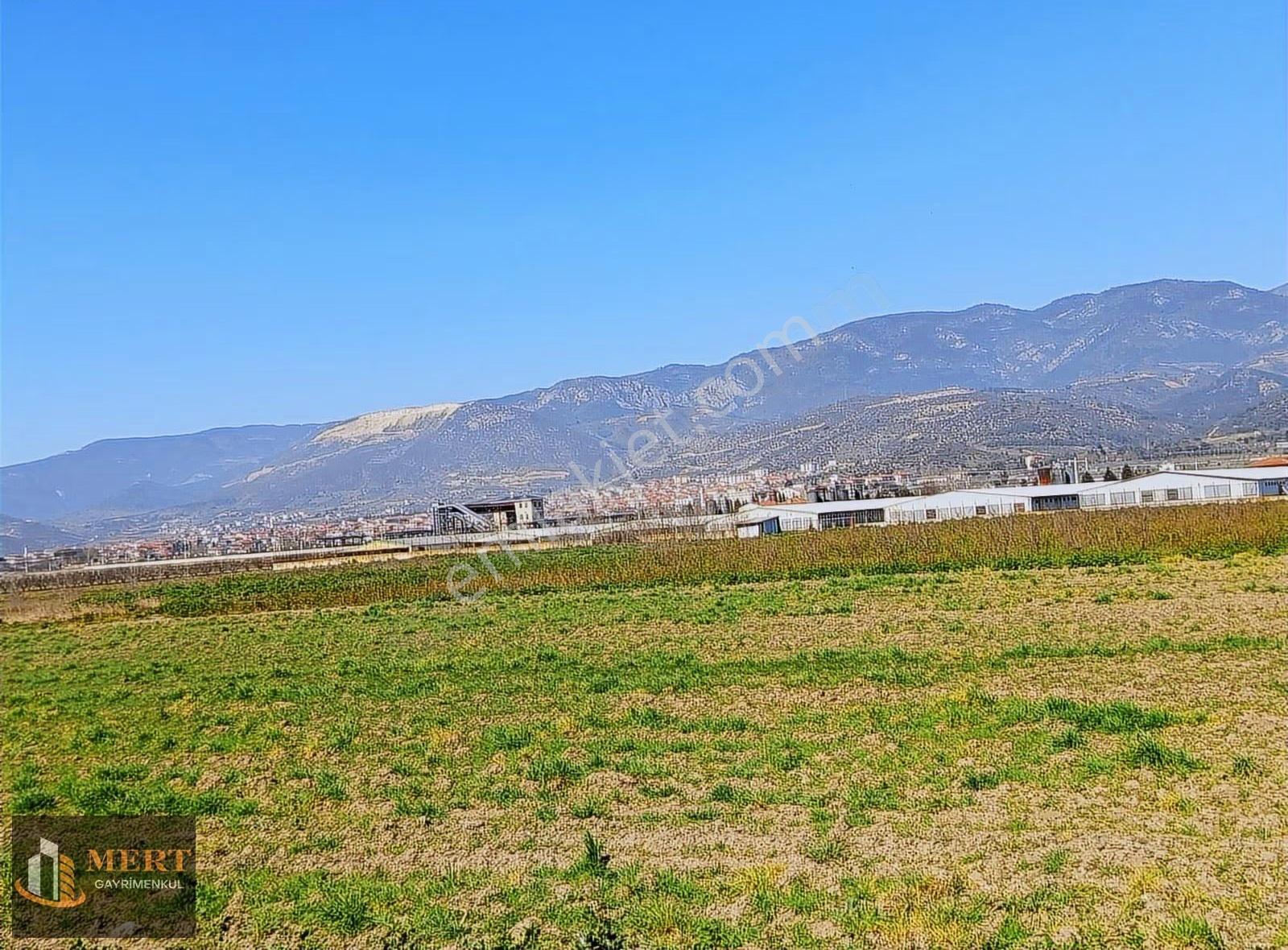 Sakarya Pamukova Cihadiye Köyünde Satılık Tarla - Görsel 7