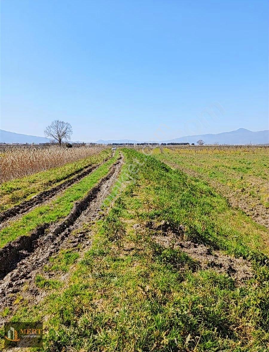 Sakarya Pamukova Cihadiye Köyünde Satılık Tarla - Görsel 3