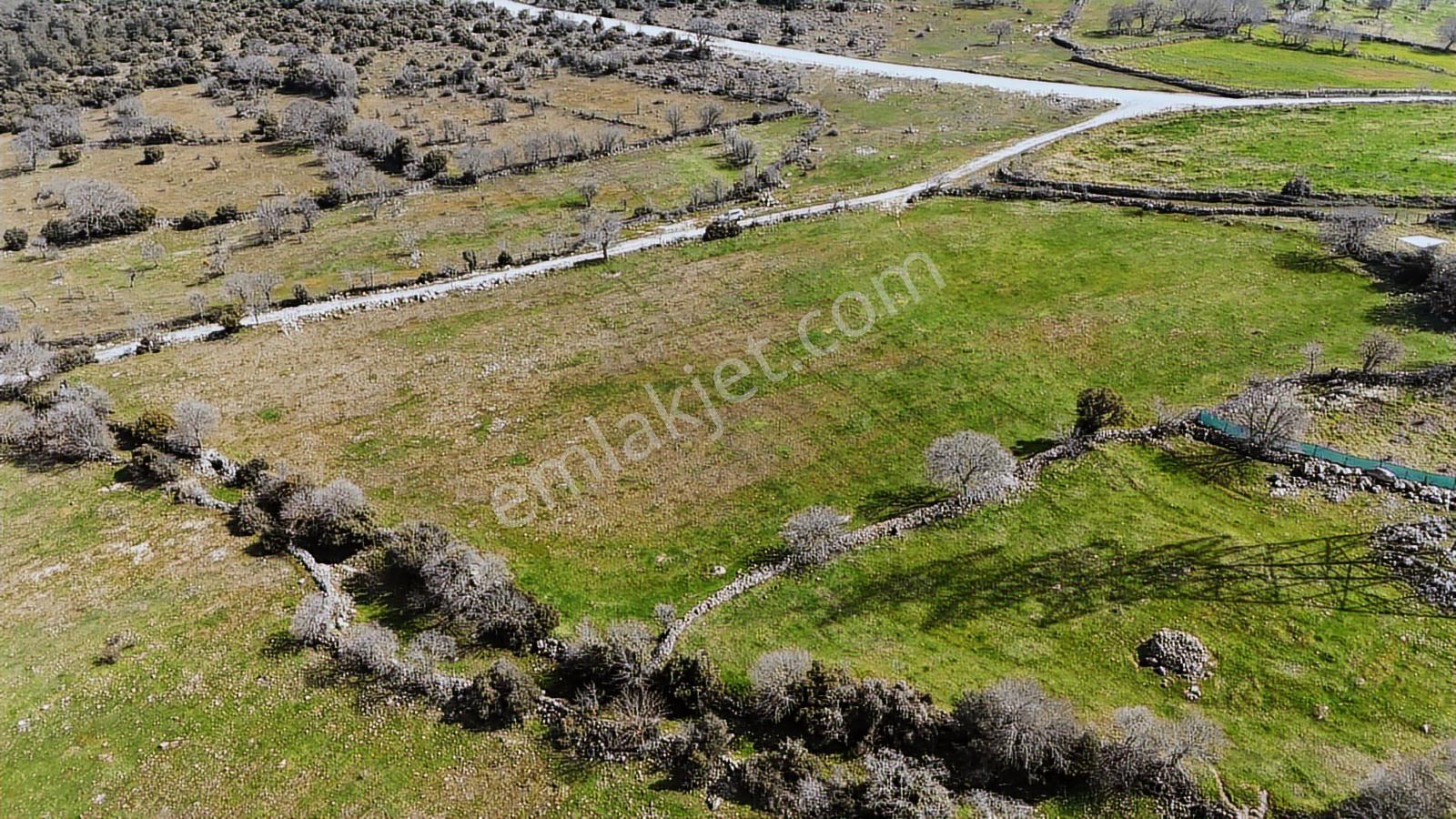 Bergama Maruflar'da Satılık Tarla - Görsel 2