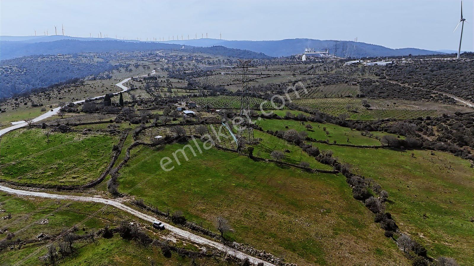 Bergama Maruflar'da Satılık Tarla - Görsel 34