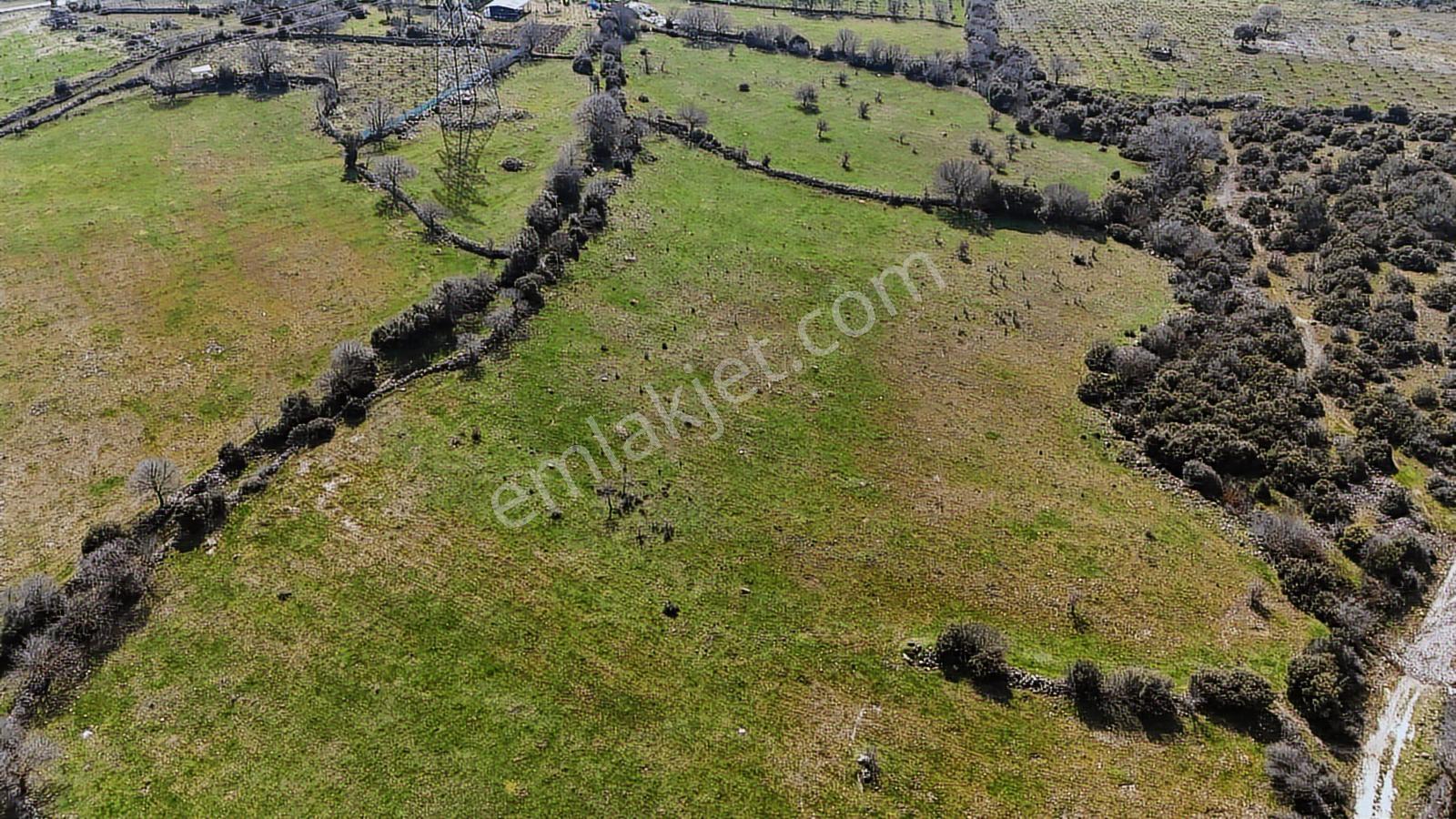 Bergama Maruflar'da Satılık Tarla - Görsel 3