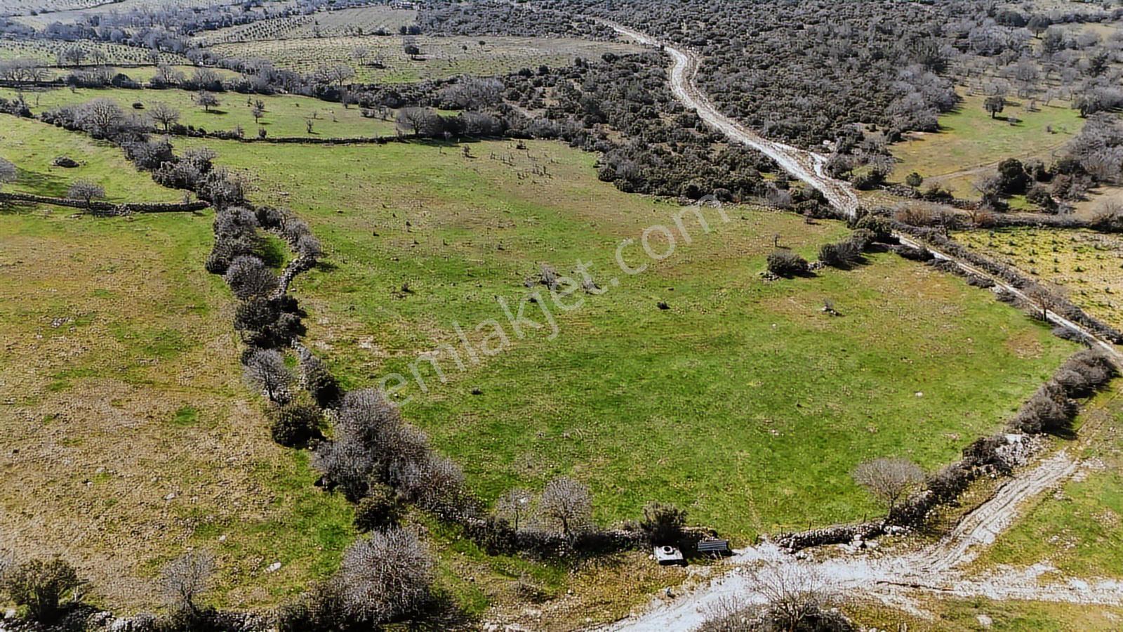 Bergama Maruflar'da Satılık Tarla - Görsel 35