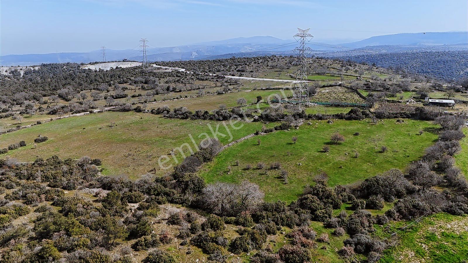 Bergama Maruflar'da Satılık Tarla - Görsel 5