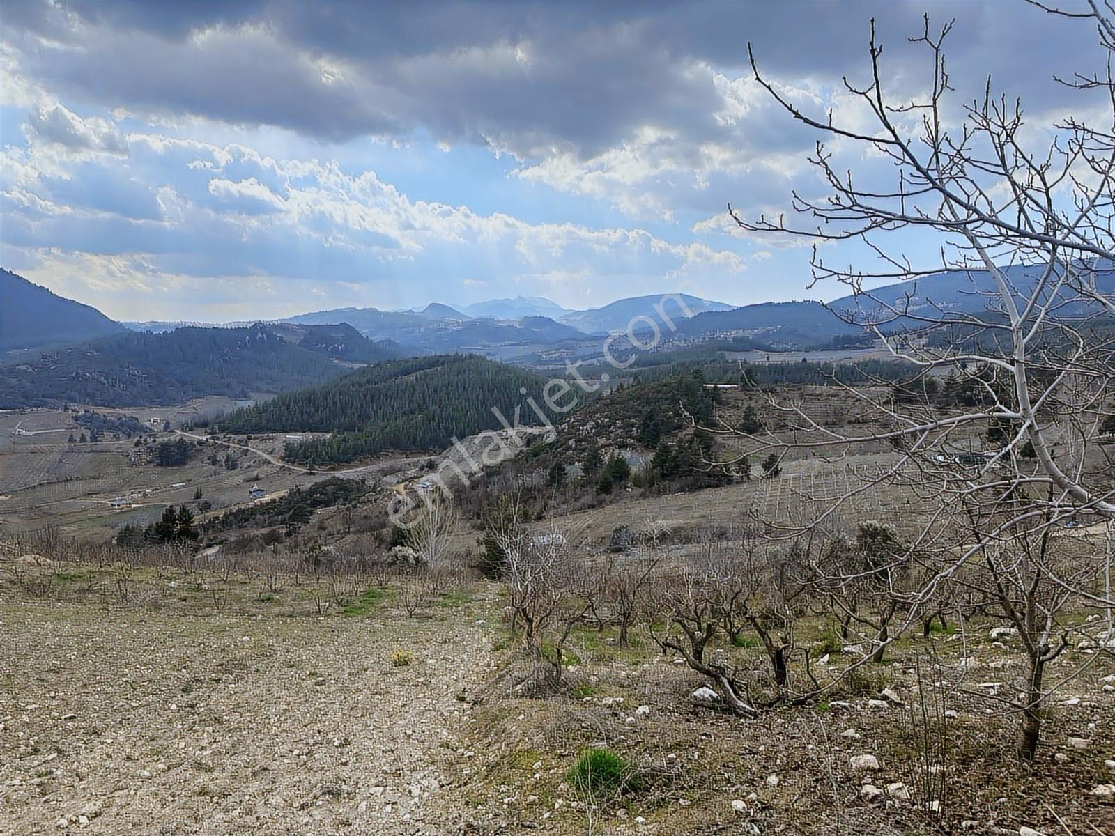 New Form'dan Toroslar Değirmendere Köyü 7460 M2 Satılık Bahçe - Görsel 20