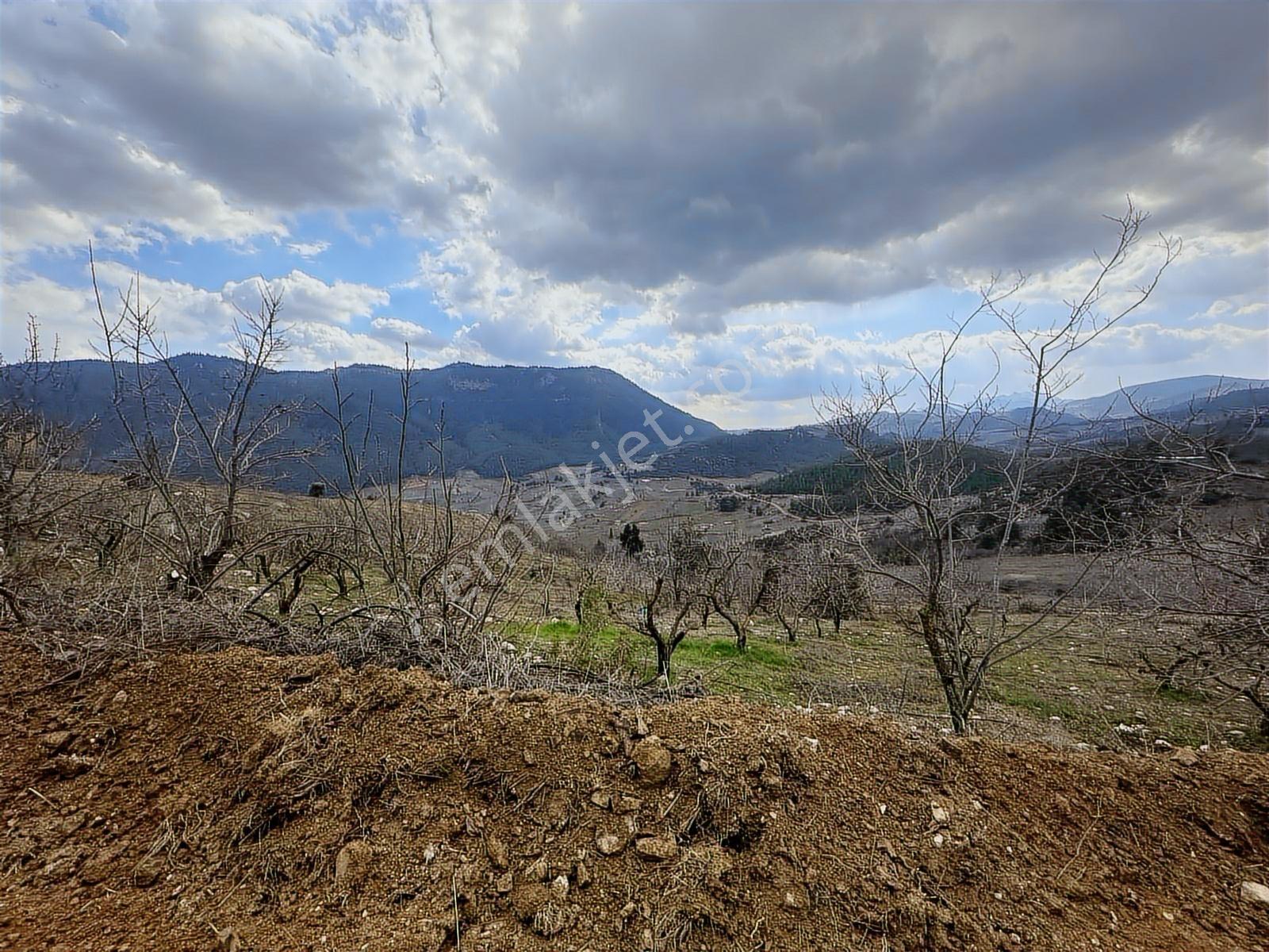 New Form'dan Toroslar Değirmendere Köyü 7460 M2 Satılık Bahçe - Görsel 16