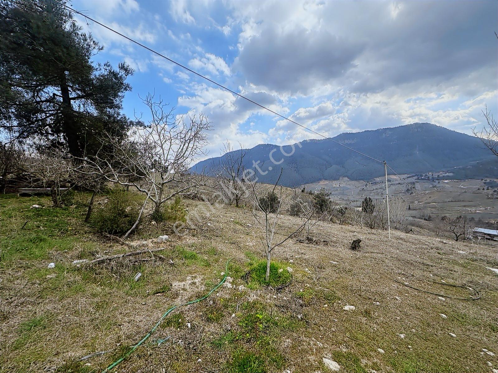 New Form'dan Toroslar Değirmendere Köyü 7460 M2 Satılık Bahçe - Görsel 5