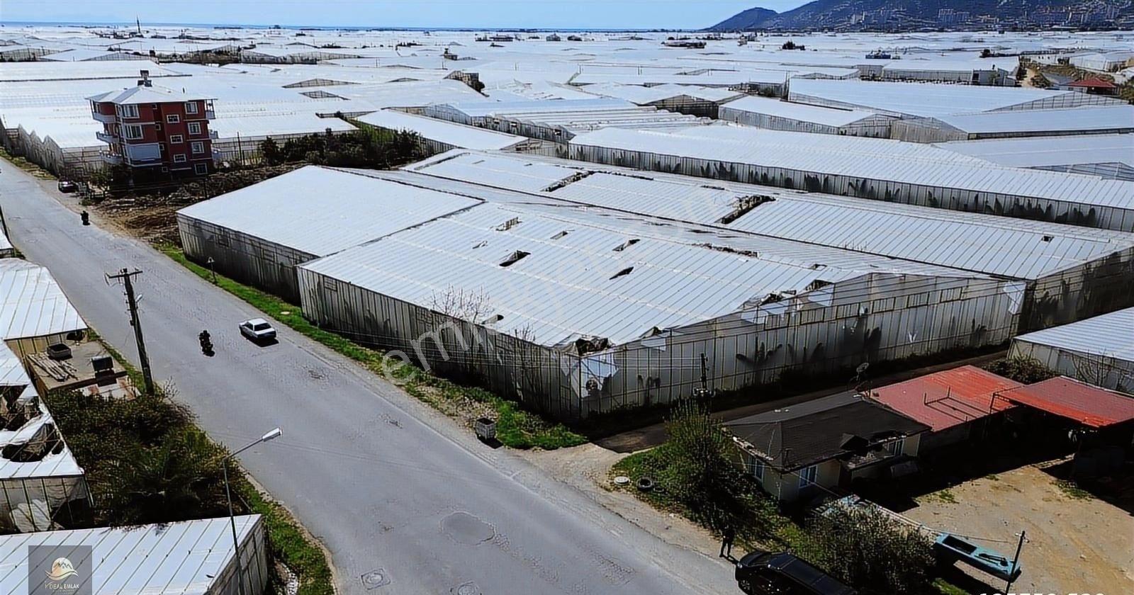 Anamur Sultanalaattin Satılık İmarlı Arsa - Görsel 9