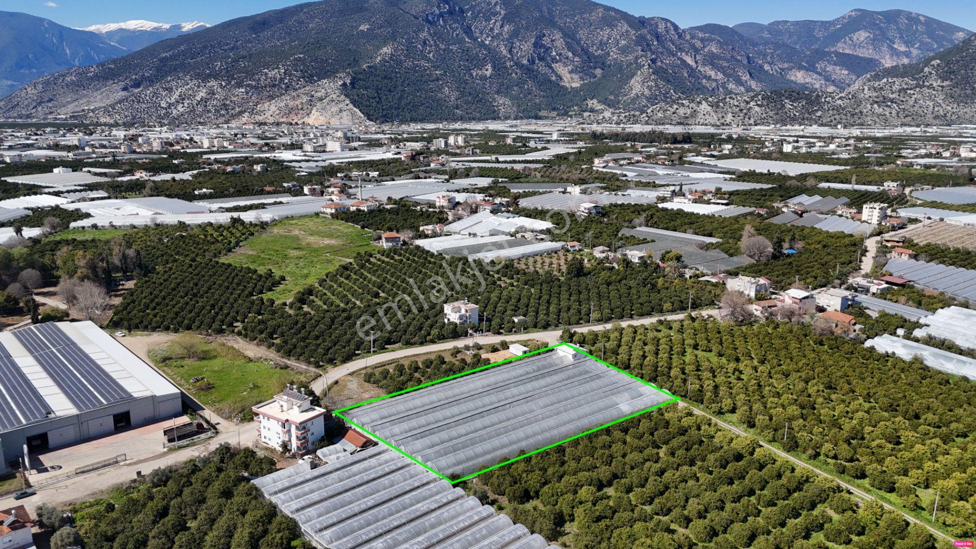 Antalya Finike Hasyurt 5.100 M2 Sera Ve İşçi Evi Satılıktır - Görsel 5