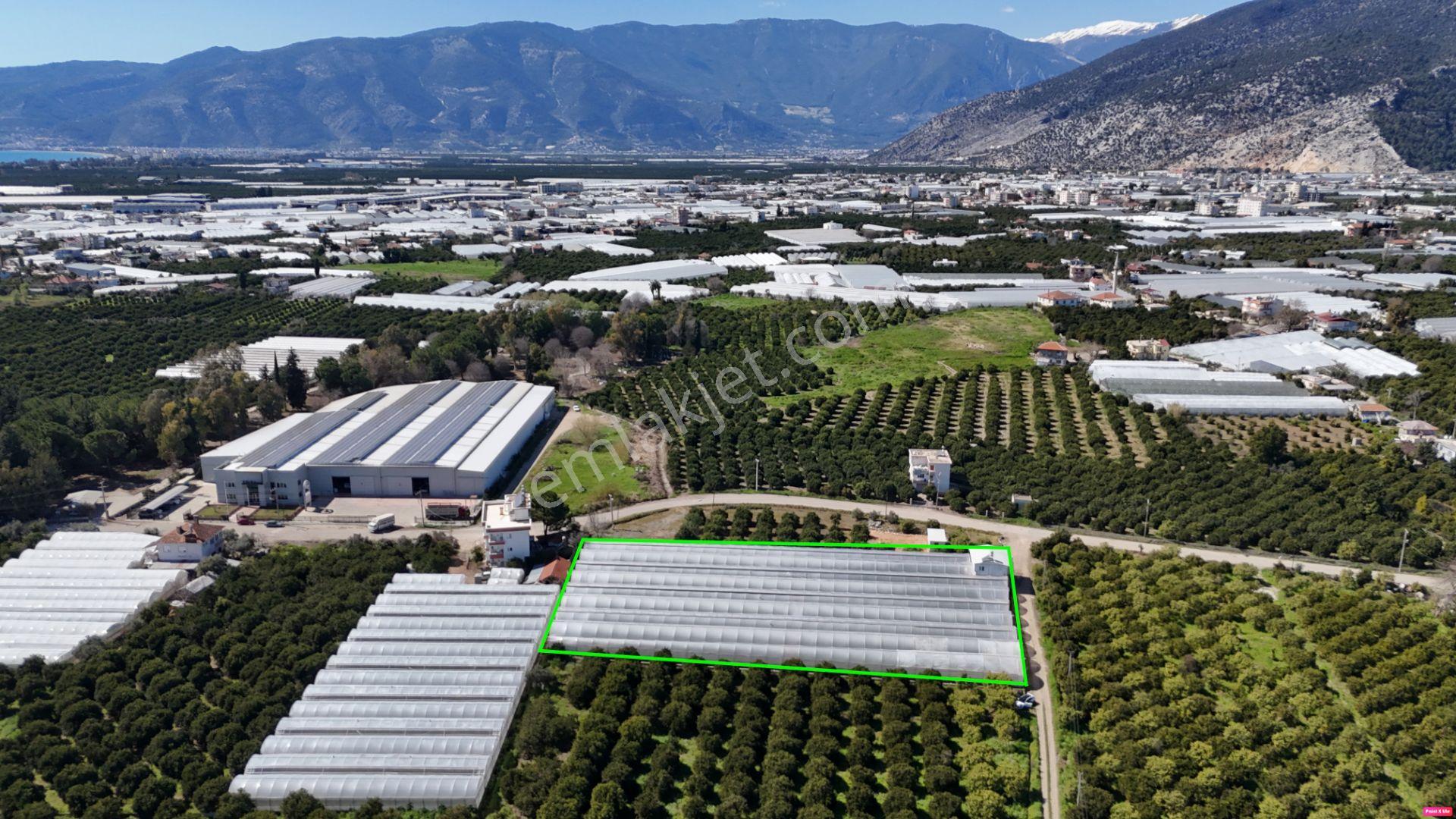 Antalya Finike Hasyurt 5.100 M2 Sera Ve İşçi Evi Satılıktır - Görsel 3