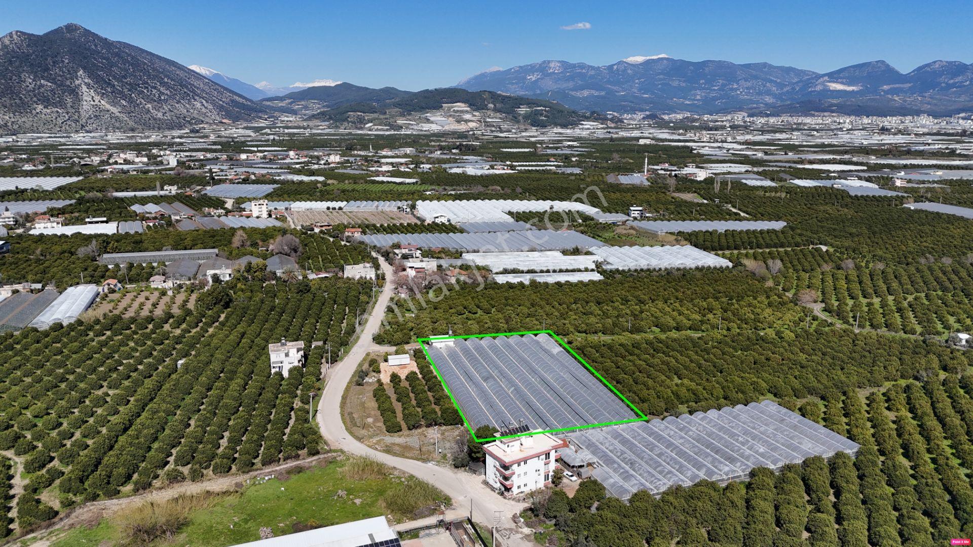 Antalya Finike Hasyurt 5.100 M2 Sera Ve İşçi Evi Satılıktır - Görsel 9