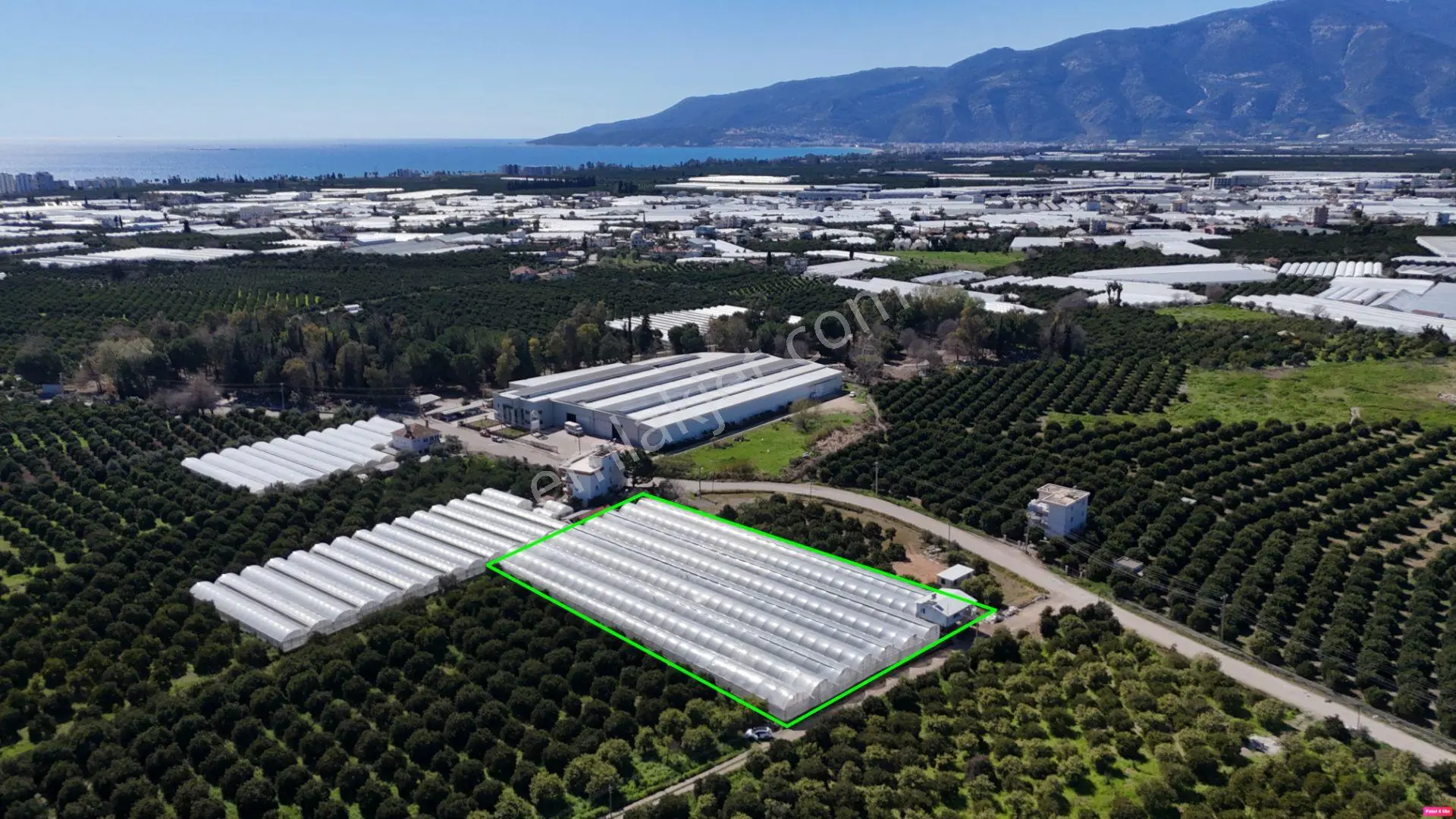 Antalya Finike Hasyurt 5.100 M2 Sera Ve İşçi Evi Satılıktır