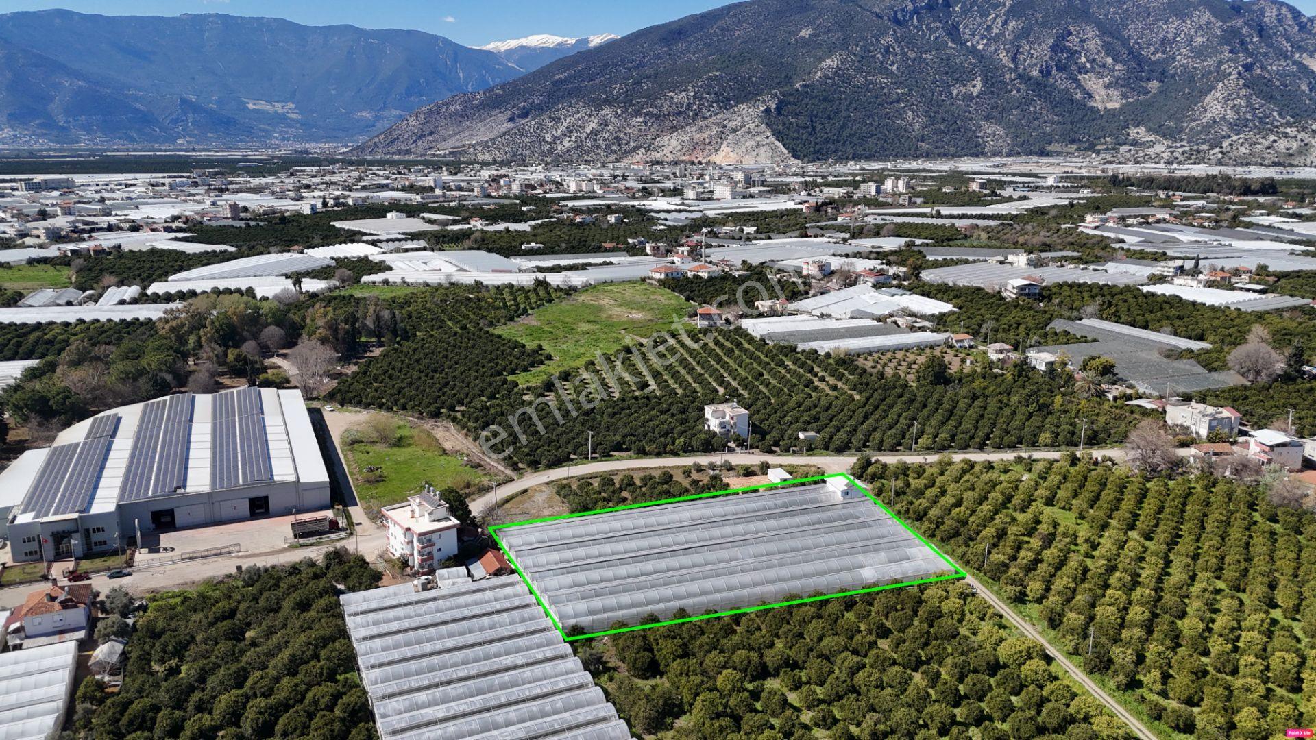 Antalya Finike Hasyurt 5.100 M2 Sera Ve İşçi Evi Satılıktır - Görsel 4