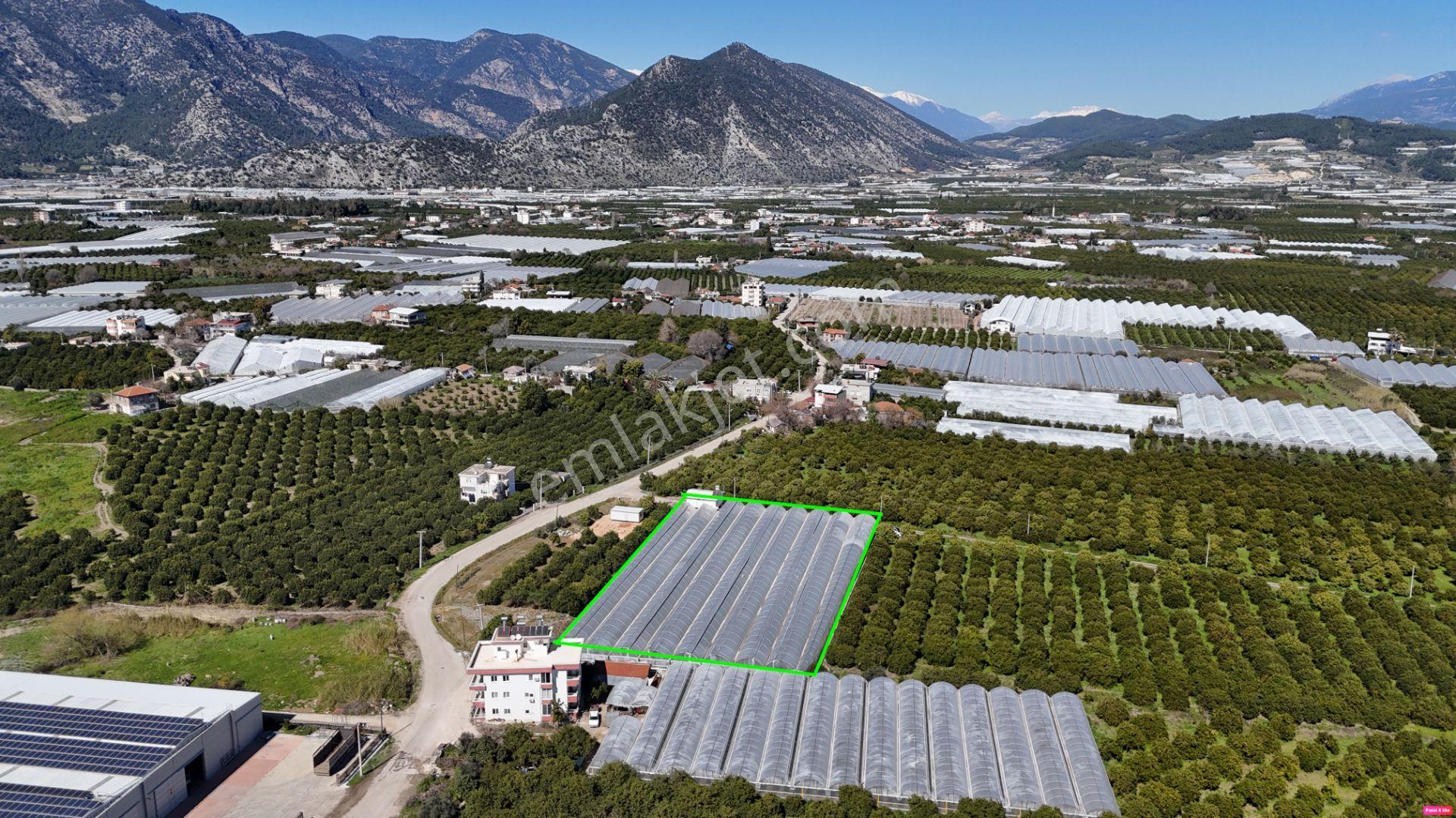 Antalya Finike Hasyurt 5.100 M2 Sera Ve İşçi Evi Satılıktır - Görsel 7