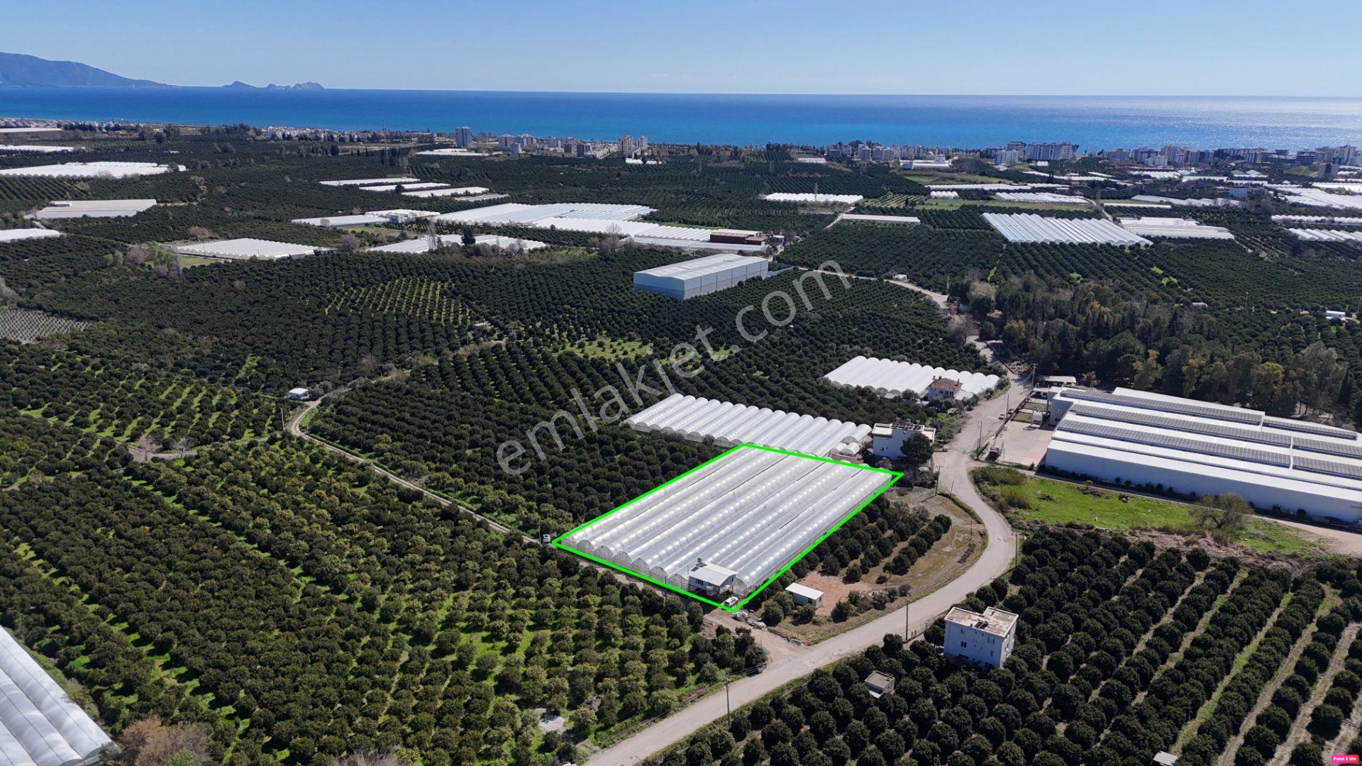 Antalya Finike Hasyurt 5.100 M2 Sera Ve İşçi Evi Satılıktır - Görsel 20