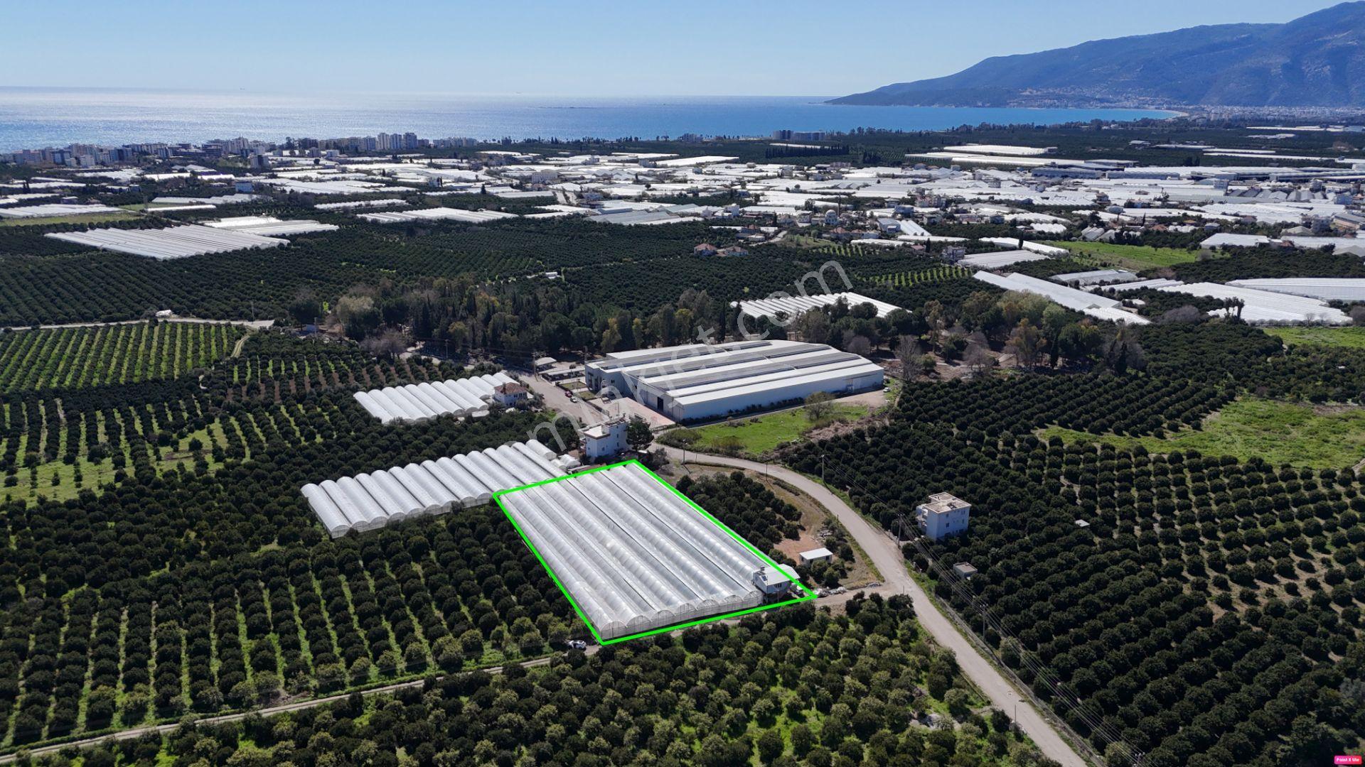 Antalya Finike Hasyurt 5.100 M2 Sera Ve İşçi Evi Satılıktır - Görsel 25