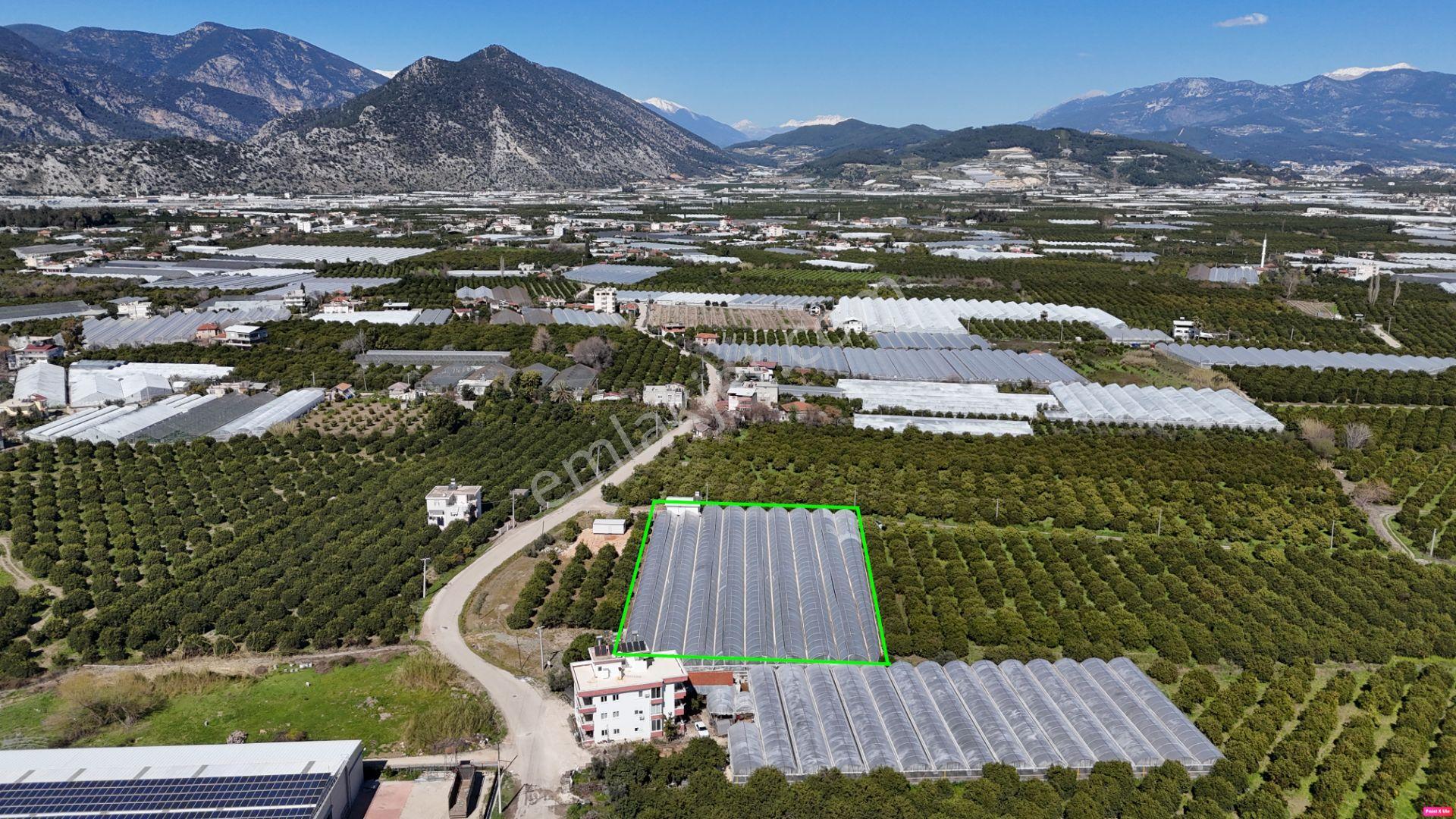 Antalya Finike Hasyurt 5.100 M2 Sera Ve İşçi Evi Satılıktır - Görsel 8