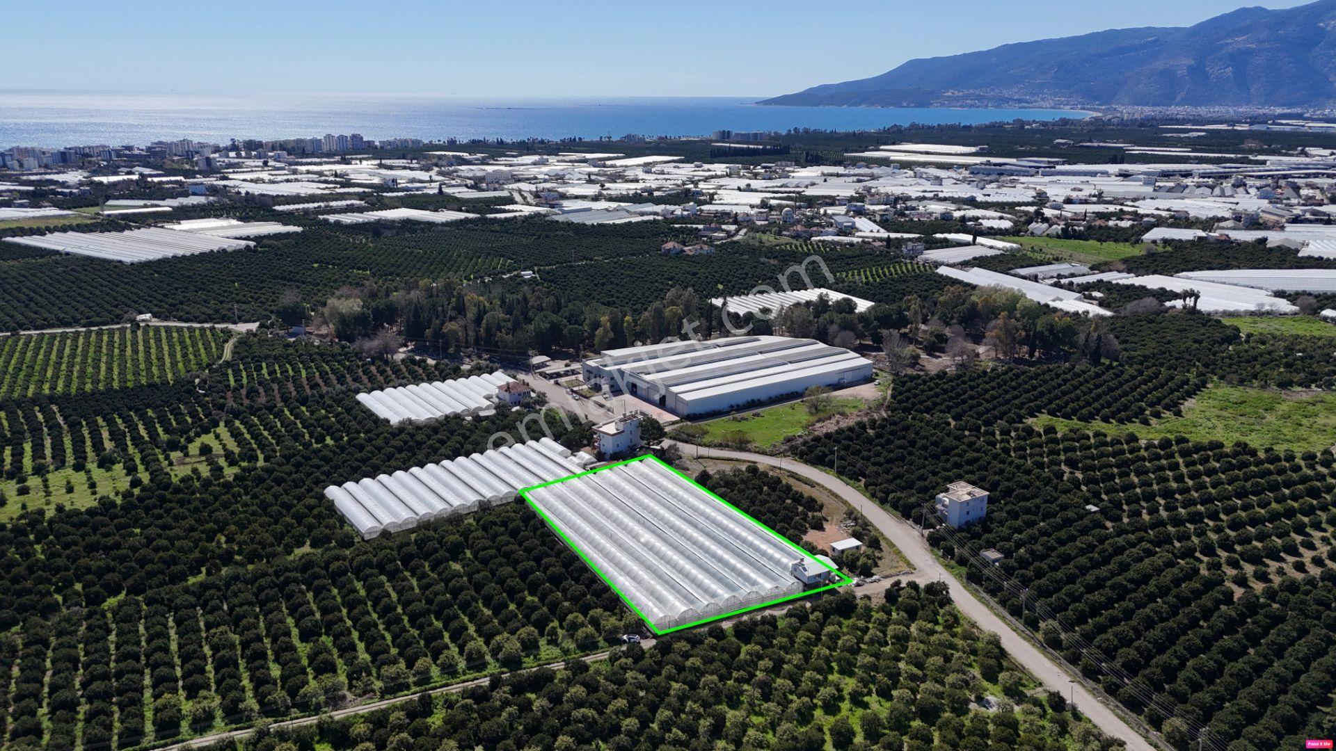 Antalya Finike Hasyurt 5.100 M2 Sera Ve İşçi Evi Satılıktır - Görsel 26