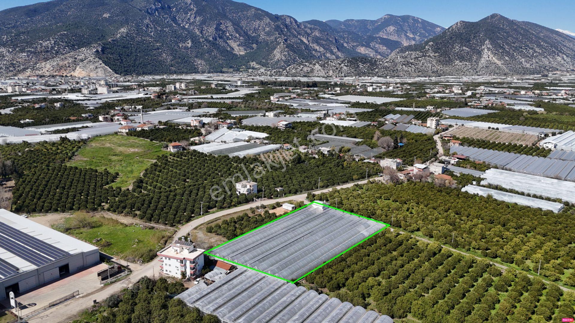 Antalya Finike Hasyurt 5.100 M2 Sera Ve İşçi Evi Satılıktır - Görsel 6