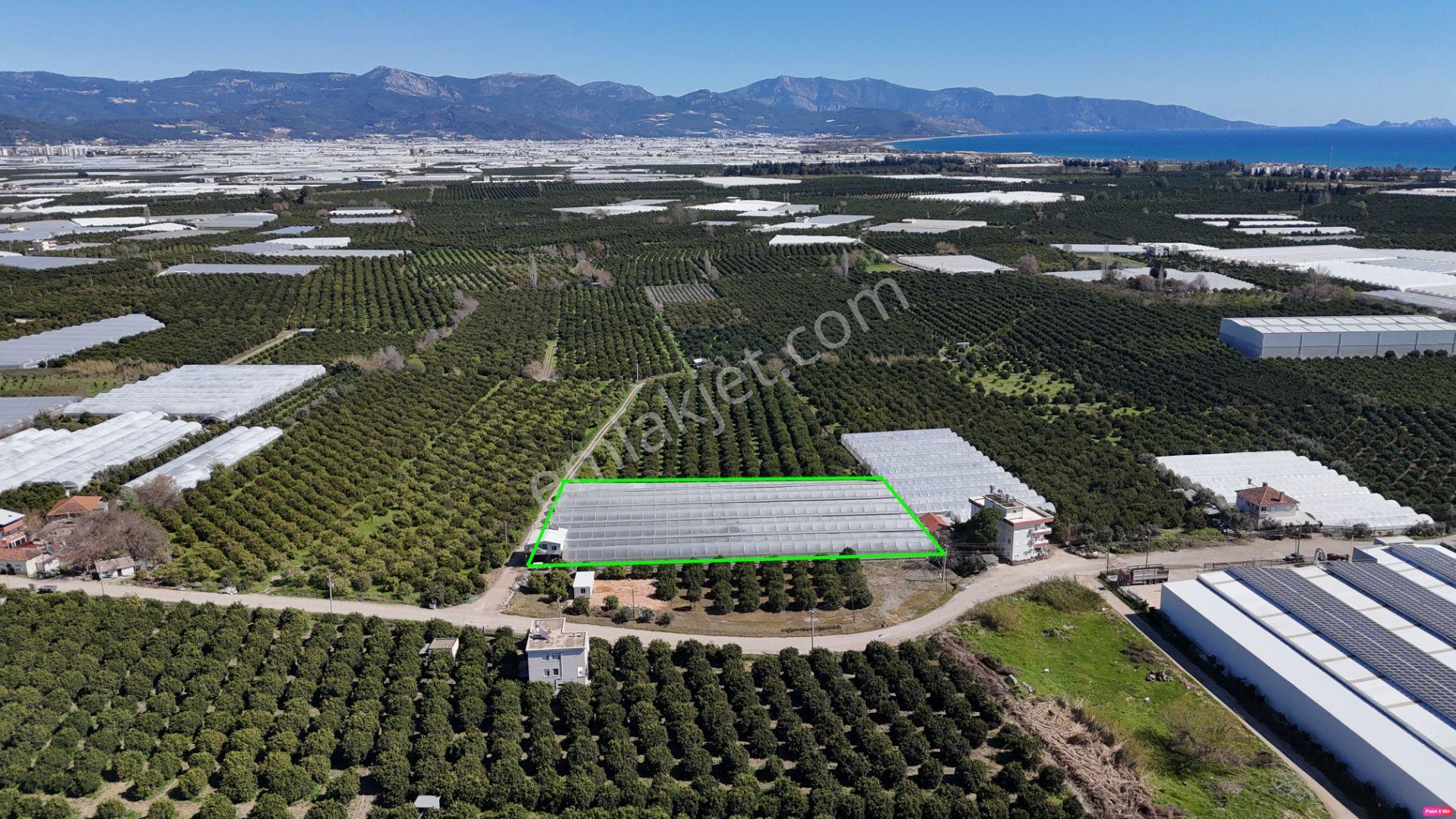 Antalya Finike Hasyurt 5.100 M2 Sera Ve İşçi Evi Satılıktır - Görsel 15