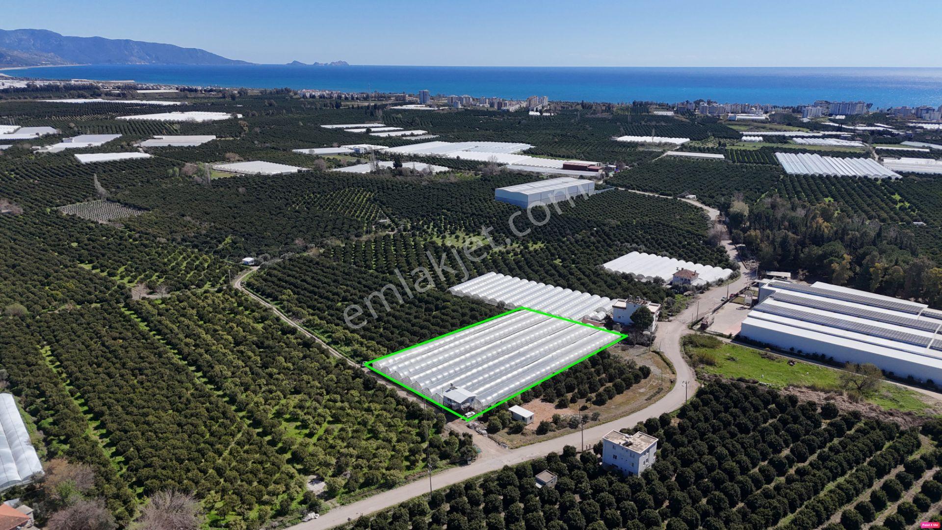 Antalya Finike Hasyurt 5.100 M2 Sera Ve İşçi Evi Satılıktır - Görsel 19