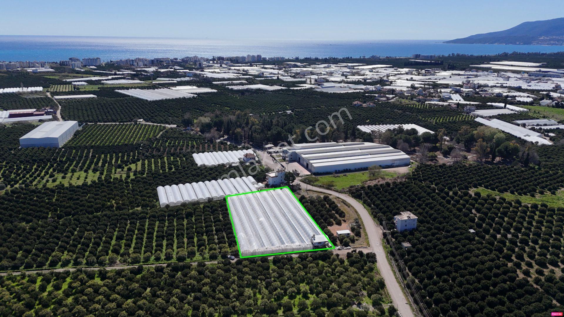 Antalya Finike Hasyurt 5.100 M2 Sera Ve İşçi Evi Satılıktır - Görsel 24