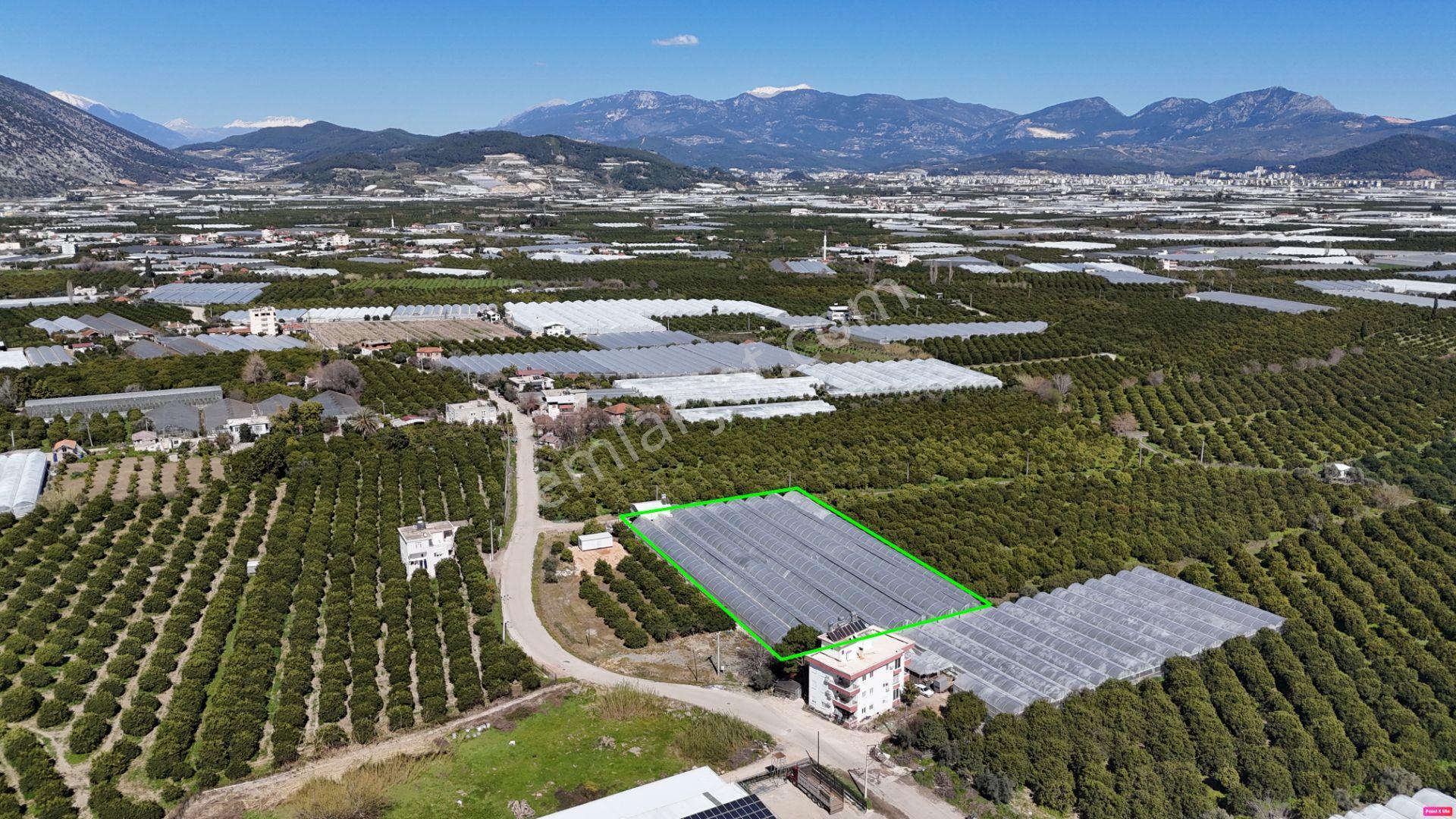 Antalya Finike Hasyurt 5.100 M2 Sera Ve İşçi Evi Satılıktır - Görsel 10