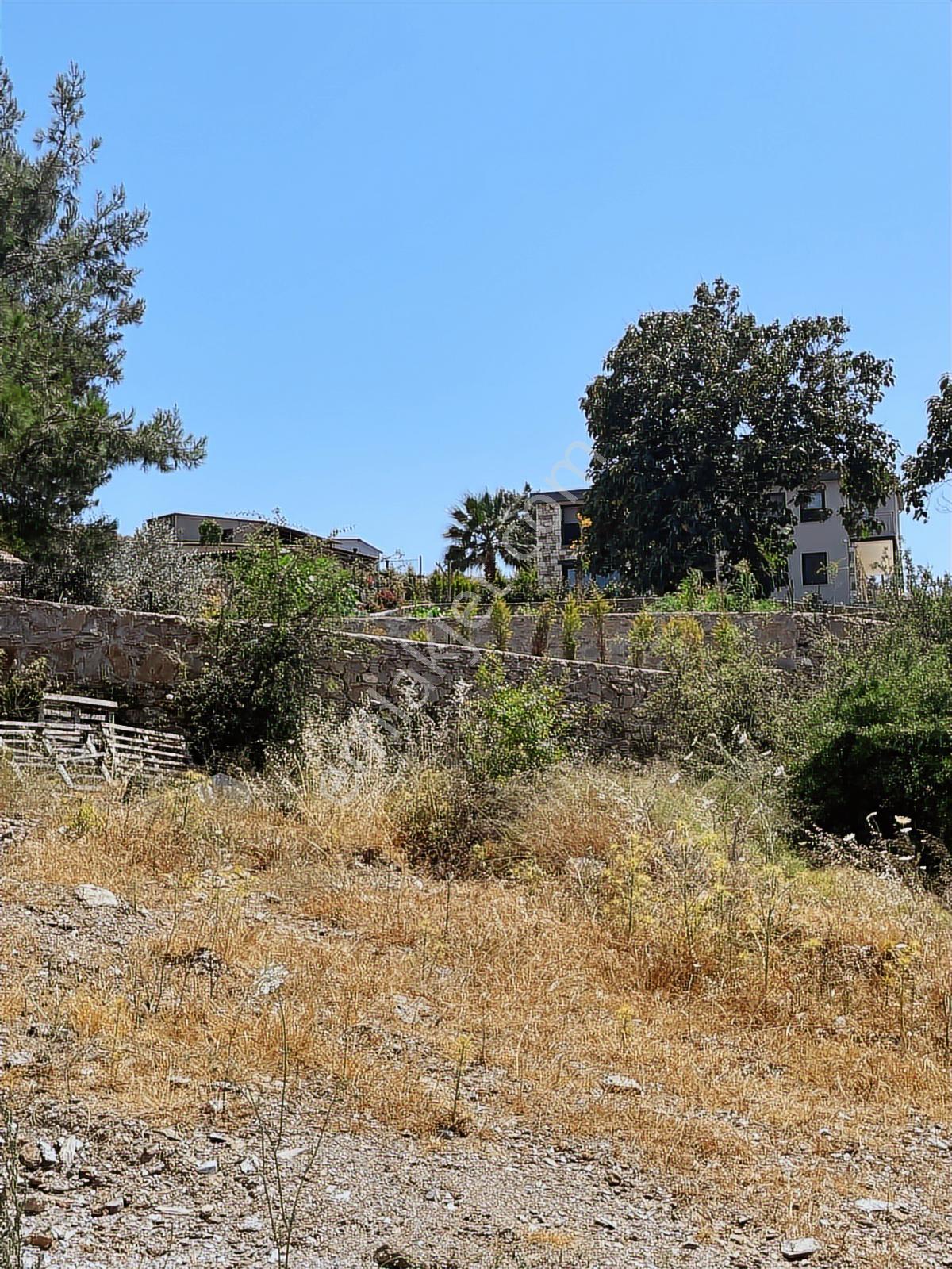 Doğadan Milas Bodrum Kuzyakada 7.350 M2 Villa Arsası - Görsel 18