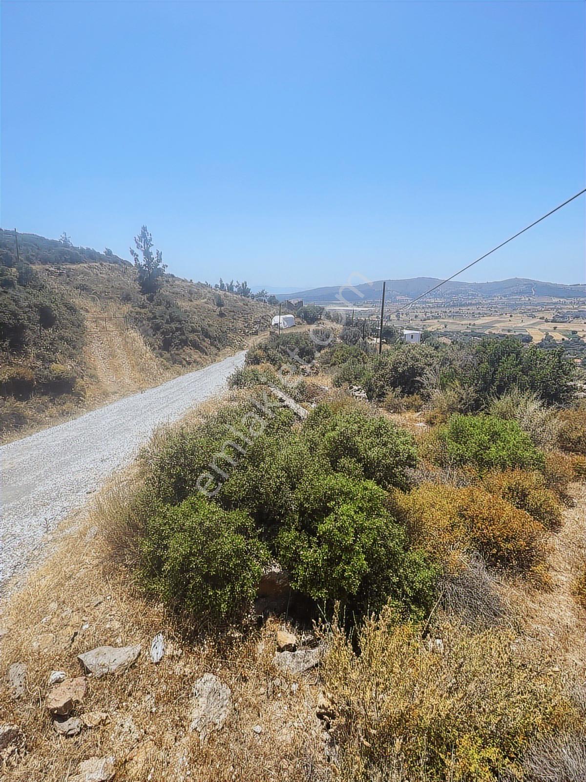 Doğadan Milas Bodrum Kuzyakada 7.350 M2 Villa Arsası - Görsel 2