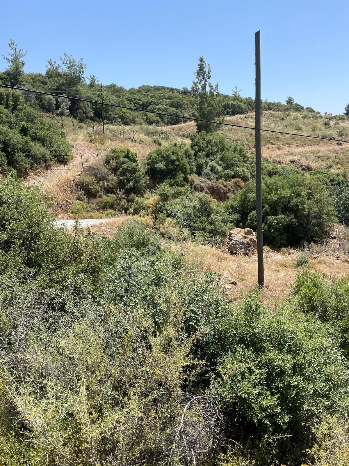Doğadan Milas Bodrum Kuzyakada 7.350 M2 Villa Arsası - Görsel 10