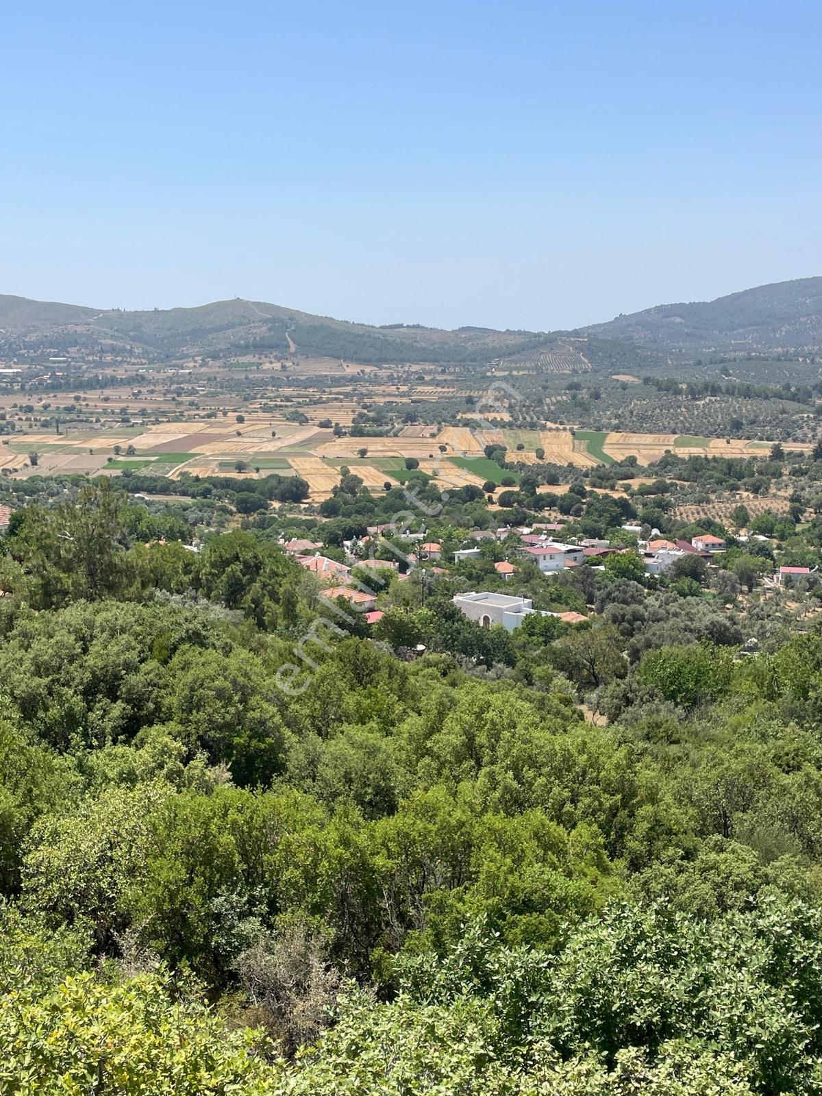 Doğadan Milas Bodrum Kuzyakada 7.350 M2 Villa Arsası - Görsel 14