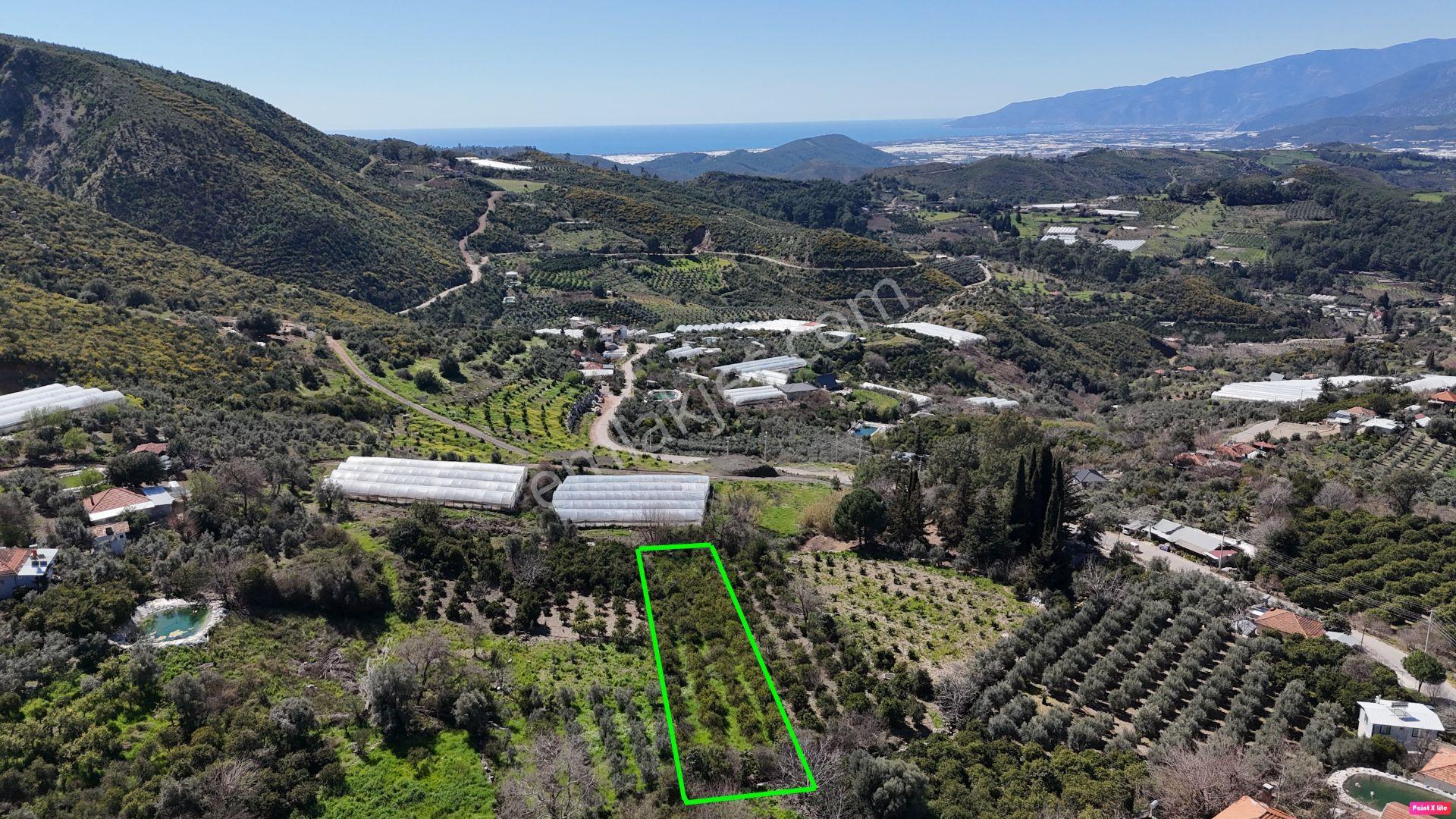 Antalya Kumluca Erentepe Mah. Satılık Narenciye Bahçesi