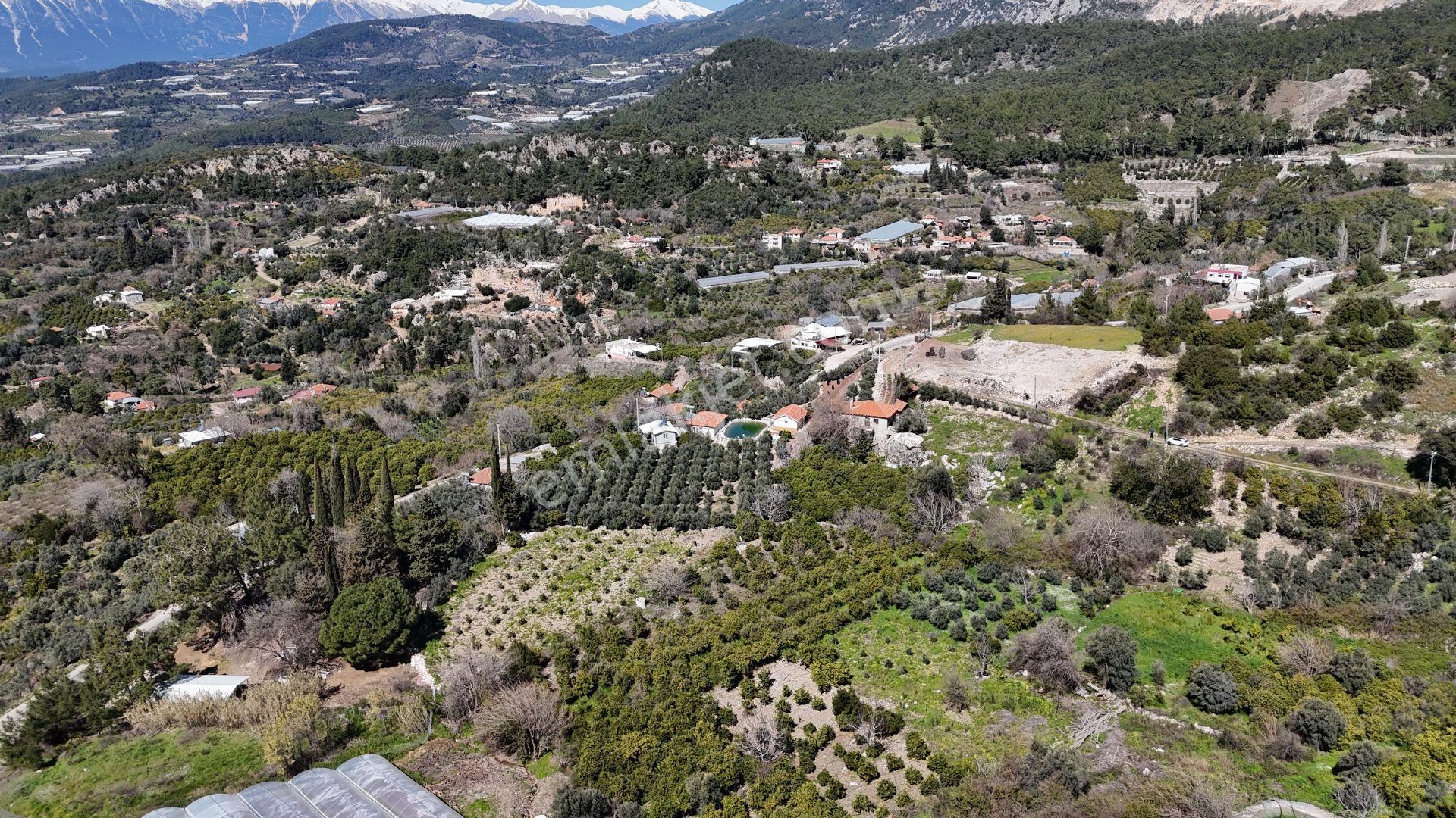 Antalya Kumluca Erentepe Mah. Satılık Narenciye Bahçesi - Görsel 6