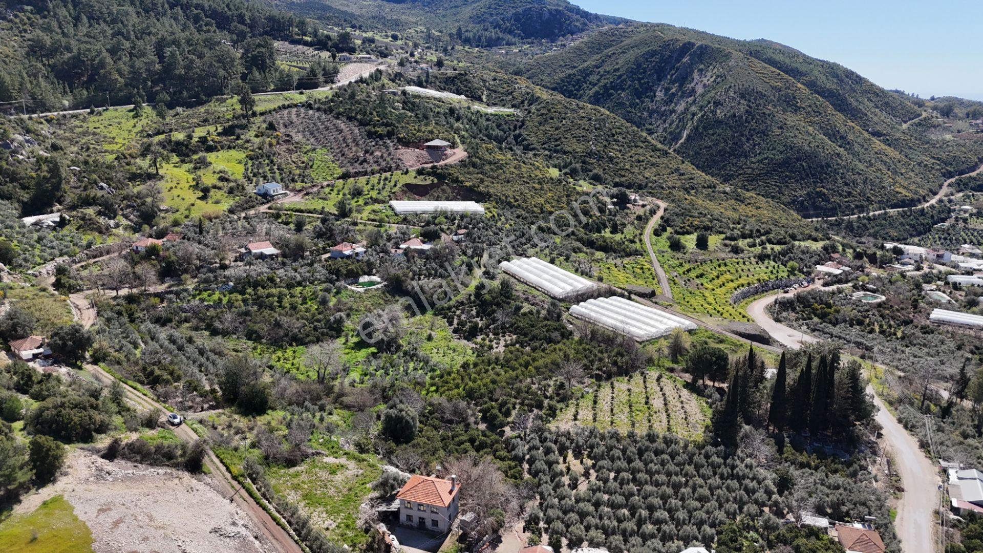 Antalya Kumluca Erentepe Mah. Satılık Narenciye Bahçesi - Görsel 16