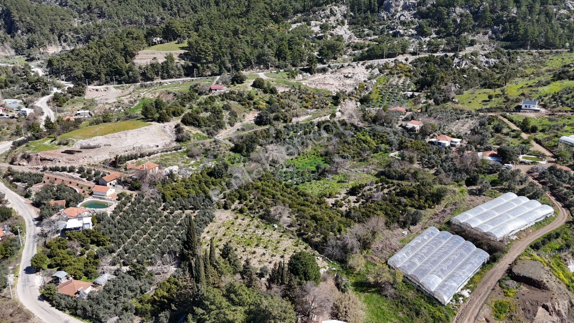 Antalya Kumluca Erentepe Mah. Satılık Narenciye Bahçesi - Görsel 11