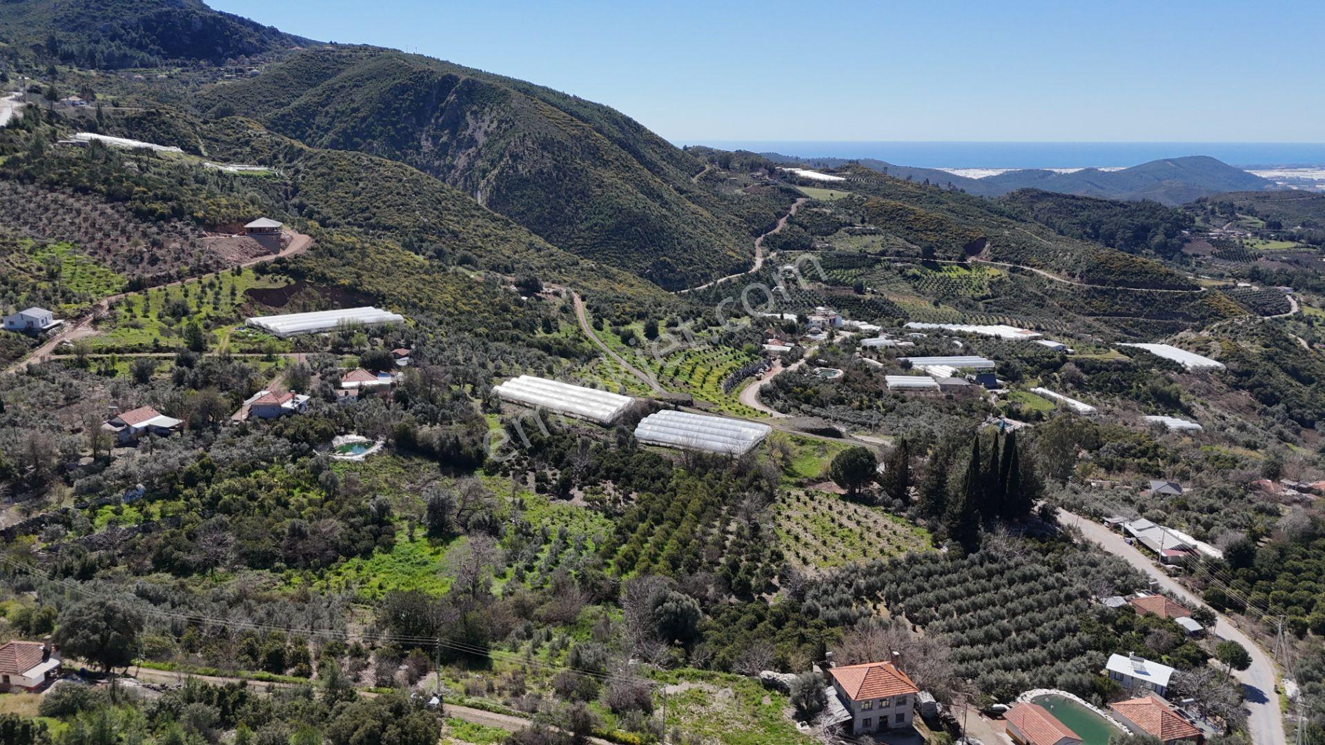 Antalya Kumluca Erentepe Mah. Satılık Narenciye Bahçesi - Görsel 18