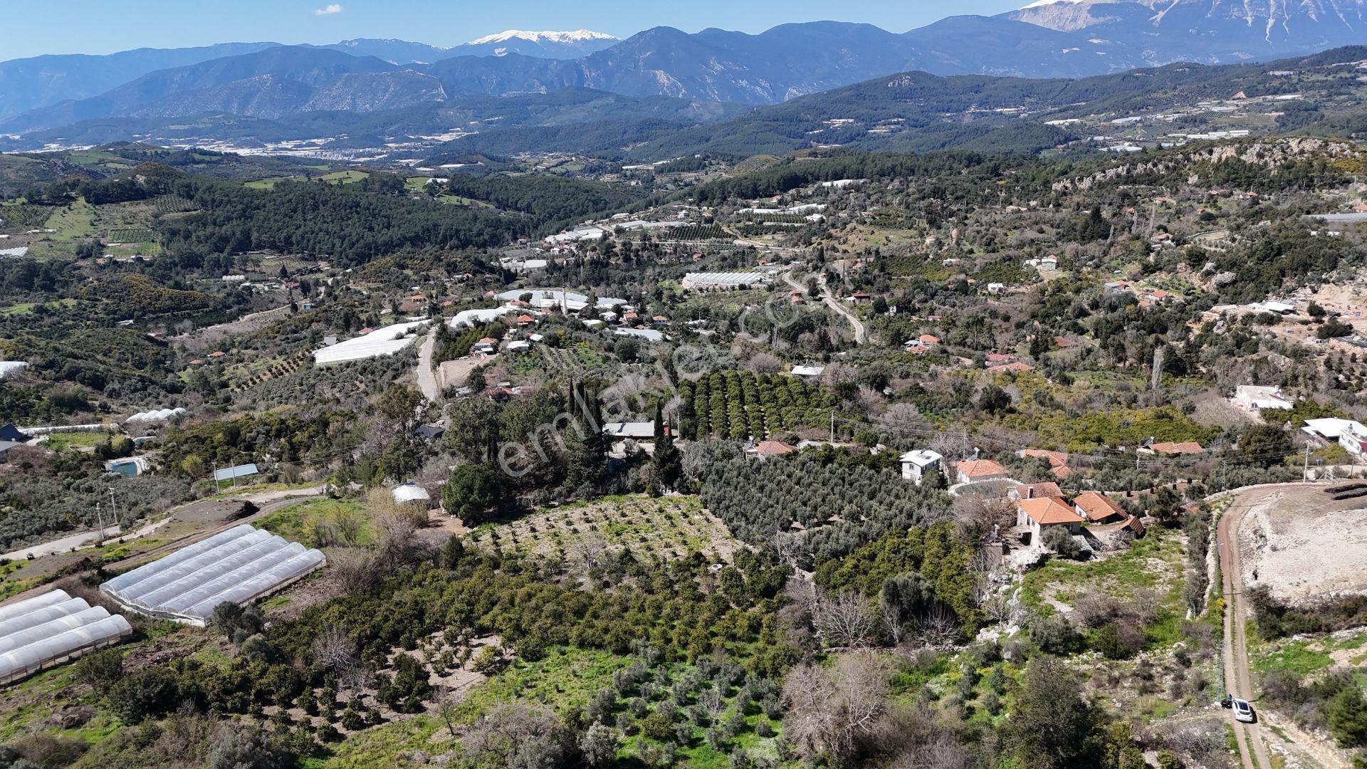 Antalya Kumluca Erentepe Mah. Satılık Narenciye Bahçesi - Görsel 4