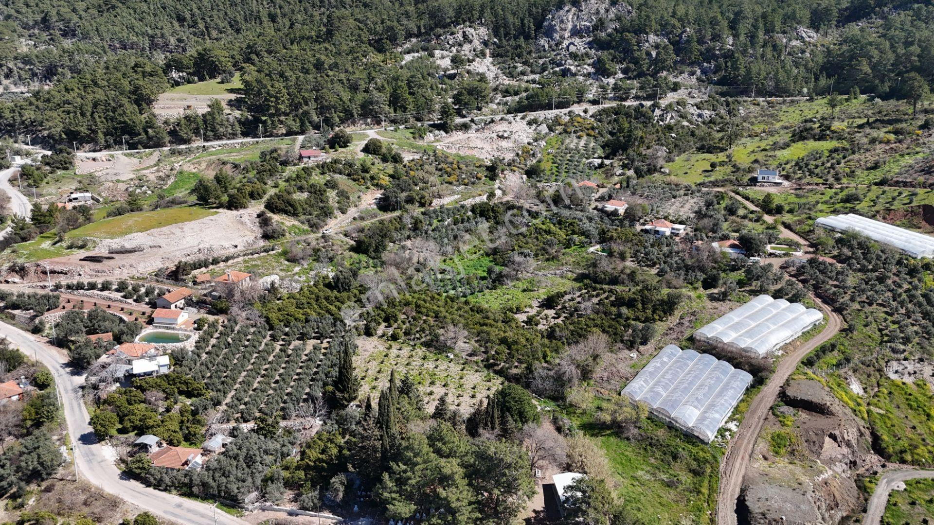 Antalya Kumluca Erentepe Mah. Satılık Narenciye Bahçesi - Görsel 12